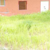 20170720_Photo_1023_DSC_4264_CMP_WM