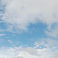 20170720_Photo_1024_DSC_4254_CMP_WM