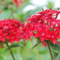 20170720_Photo_1026_DSC_4248_CMP_WM