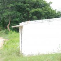 20170720_Photo_1027_DSC_4259_CMP_WM