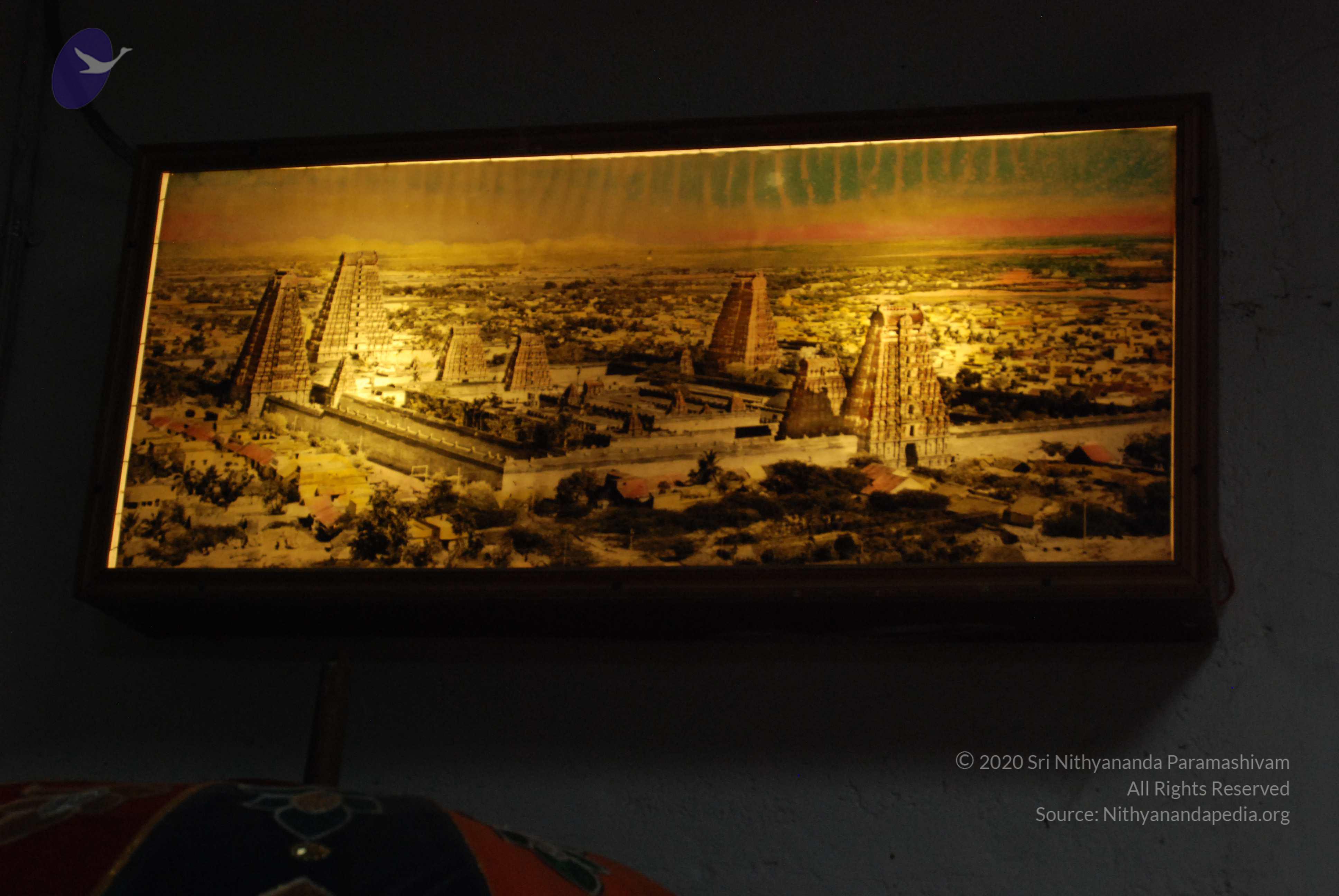 20170720_Photo_1001_DSC_4215_CMP_WM