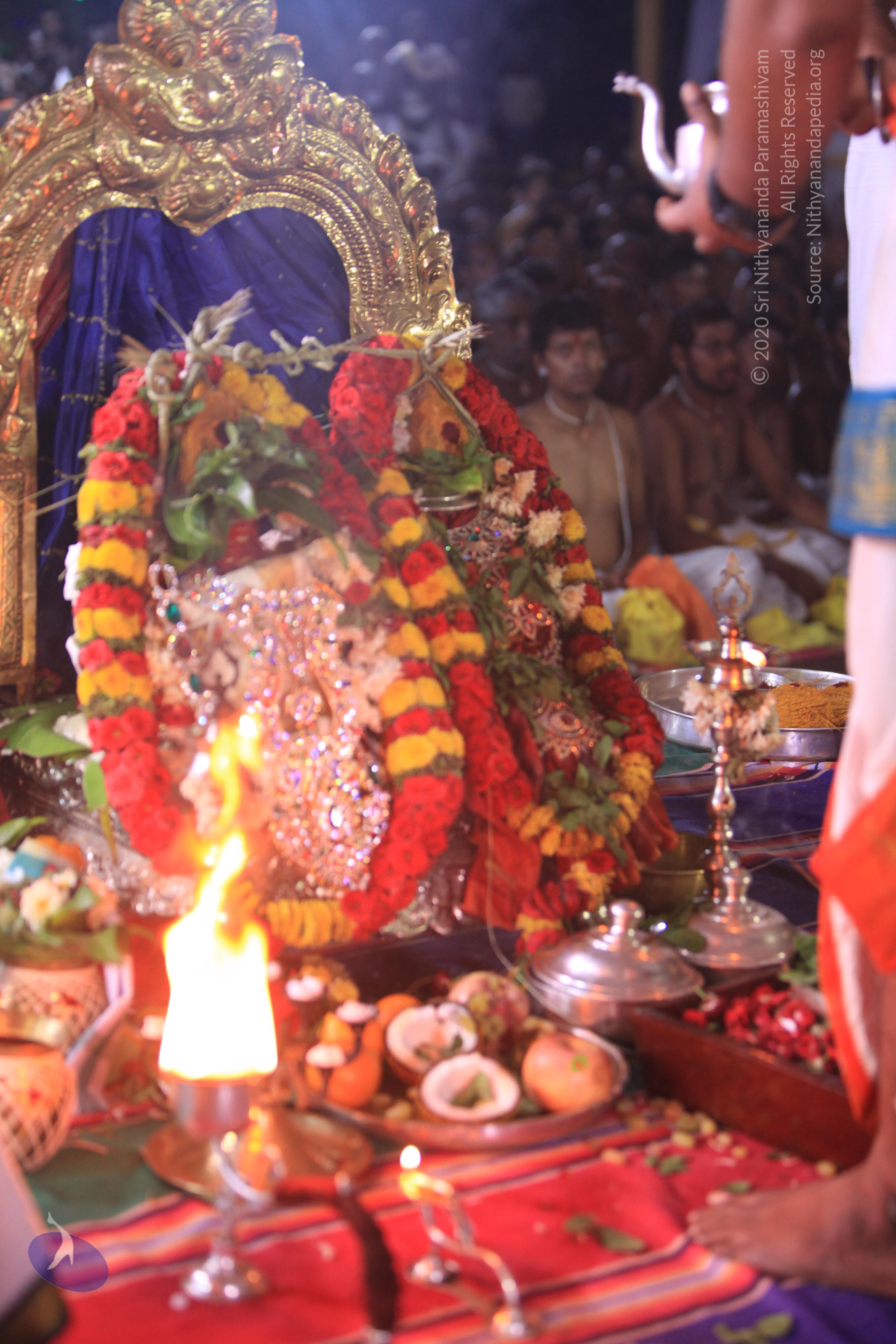 20170526_Photo_1055_IMG_7060_CMP_WM