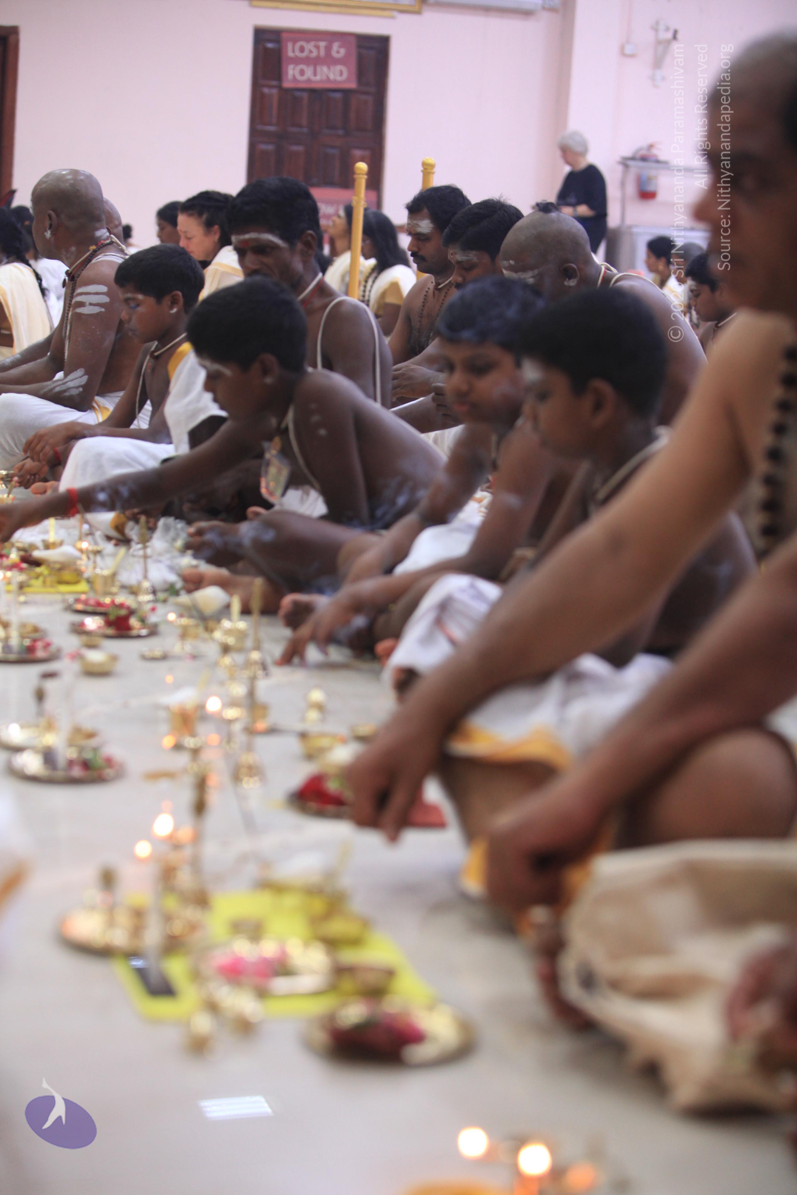 20170526_Photo_1001_IMG_7122_CMP_WM