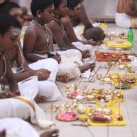 20170526_Photo_1033_IMG_7105_CMP_WM