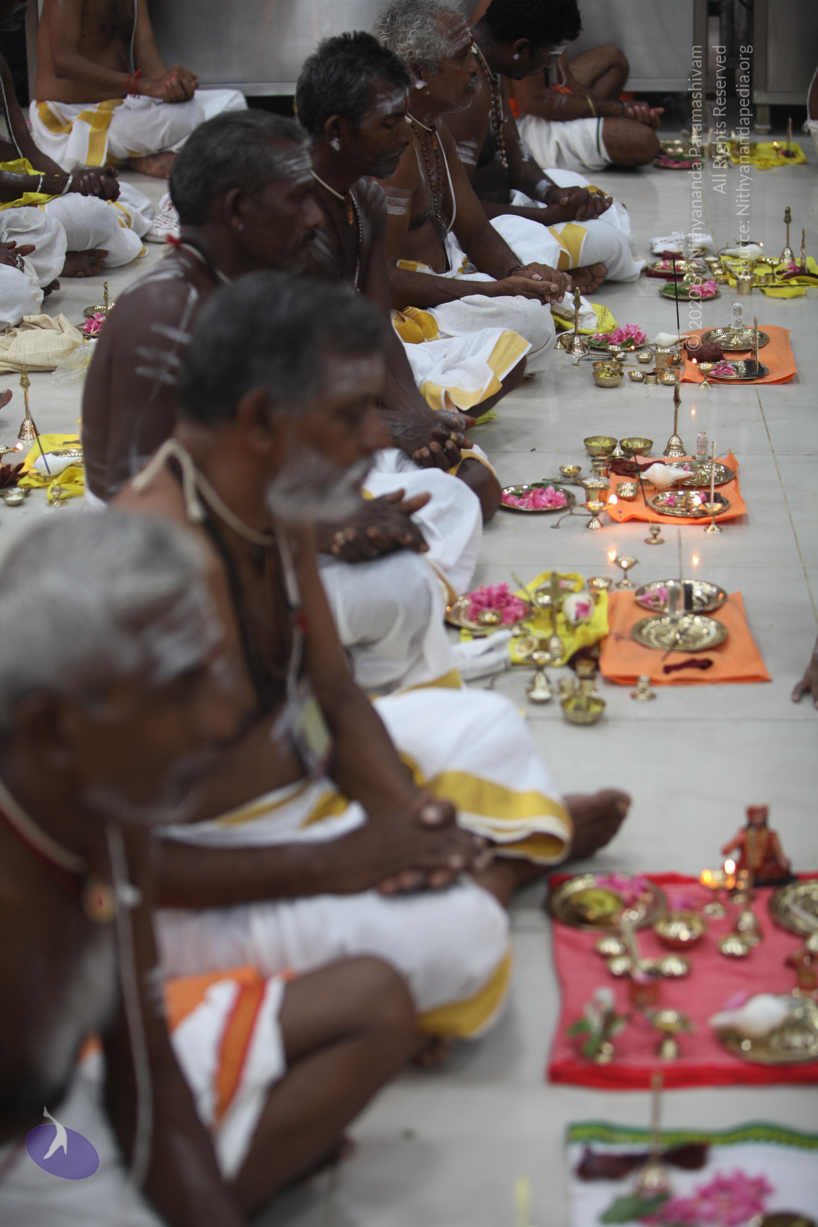 20170526_Photo_1049_IMG_7102_CMP_WM