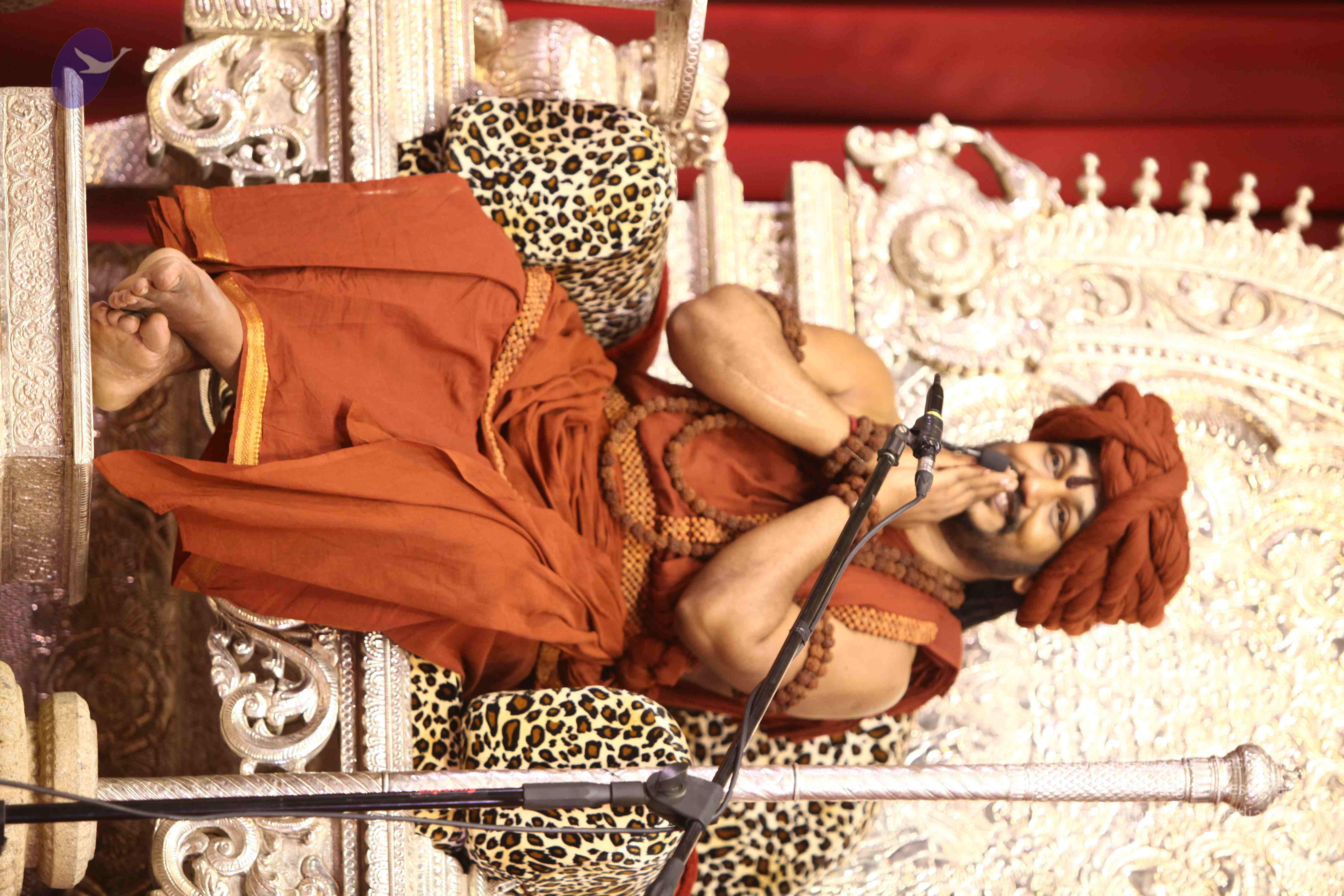 20171111_Photo_1021_1lSYnDxpGQanKRyjUcwIVebc0gxoC2-Y_