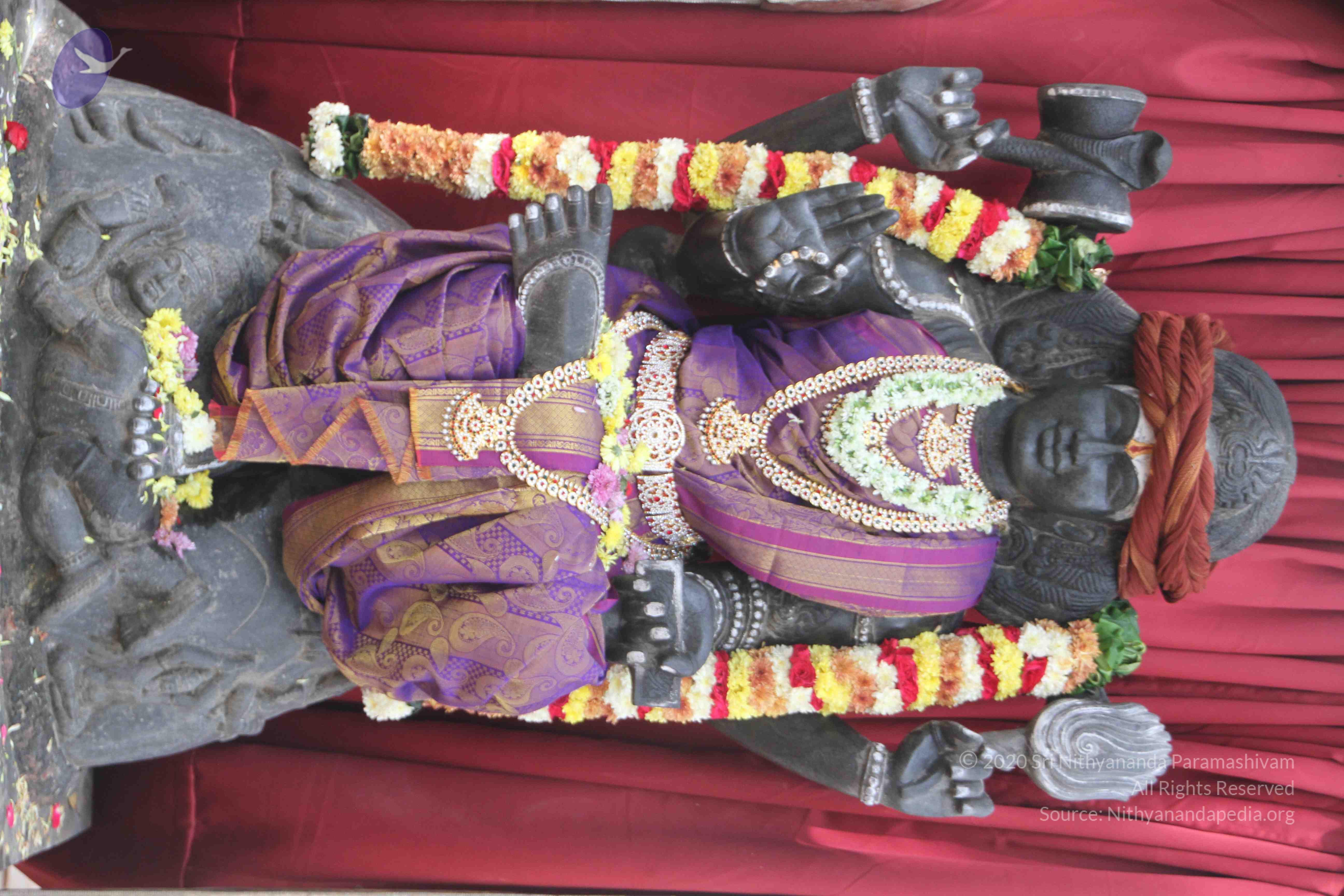 20171111_Photo_1001_18mGTdueqs3YcdjVWvN5bR5d5BDTEUHwf