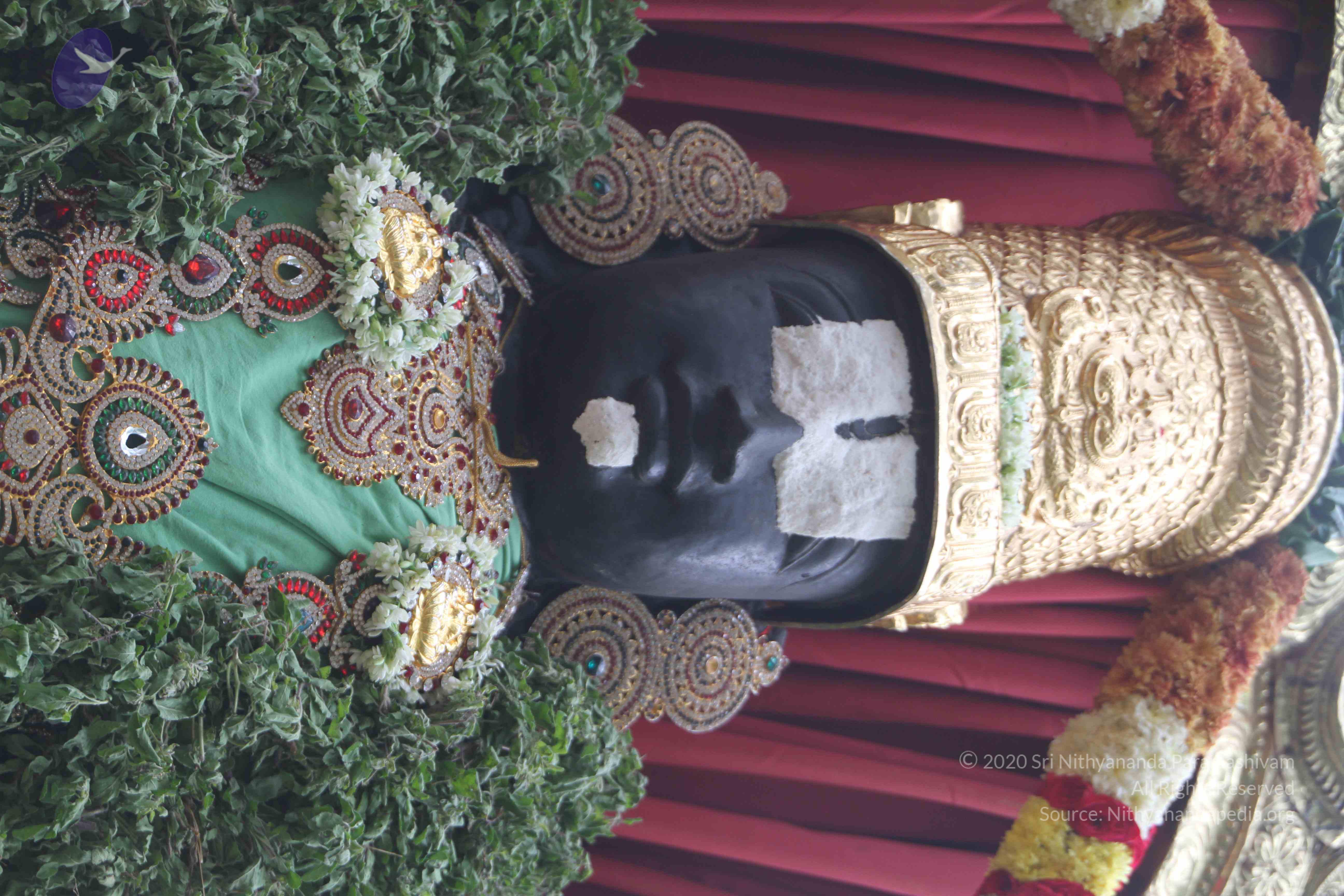 20171111_Photo_1003_1W9SZNj8DnLDkyy0X8T9nmhS6QBoeiPQR