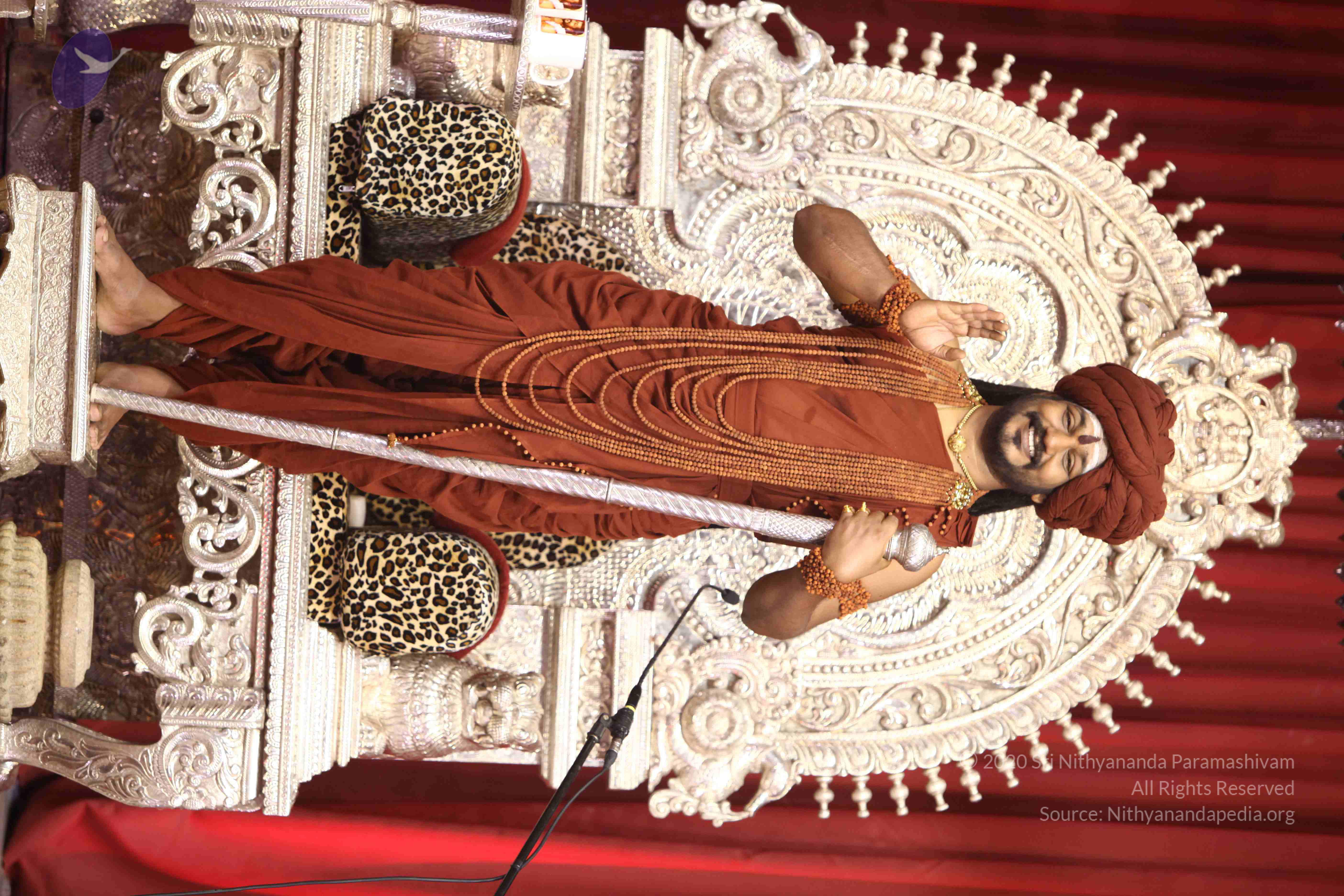 20171111_Photo_1104_1x96X-90gyfriwtdBiLnbDnNEpVzm7q-y