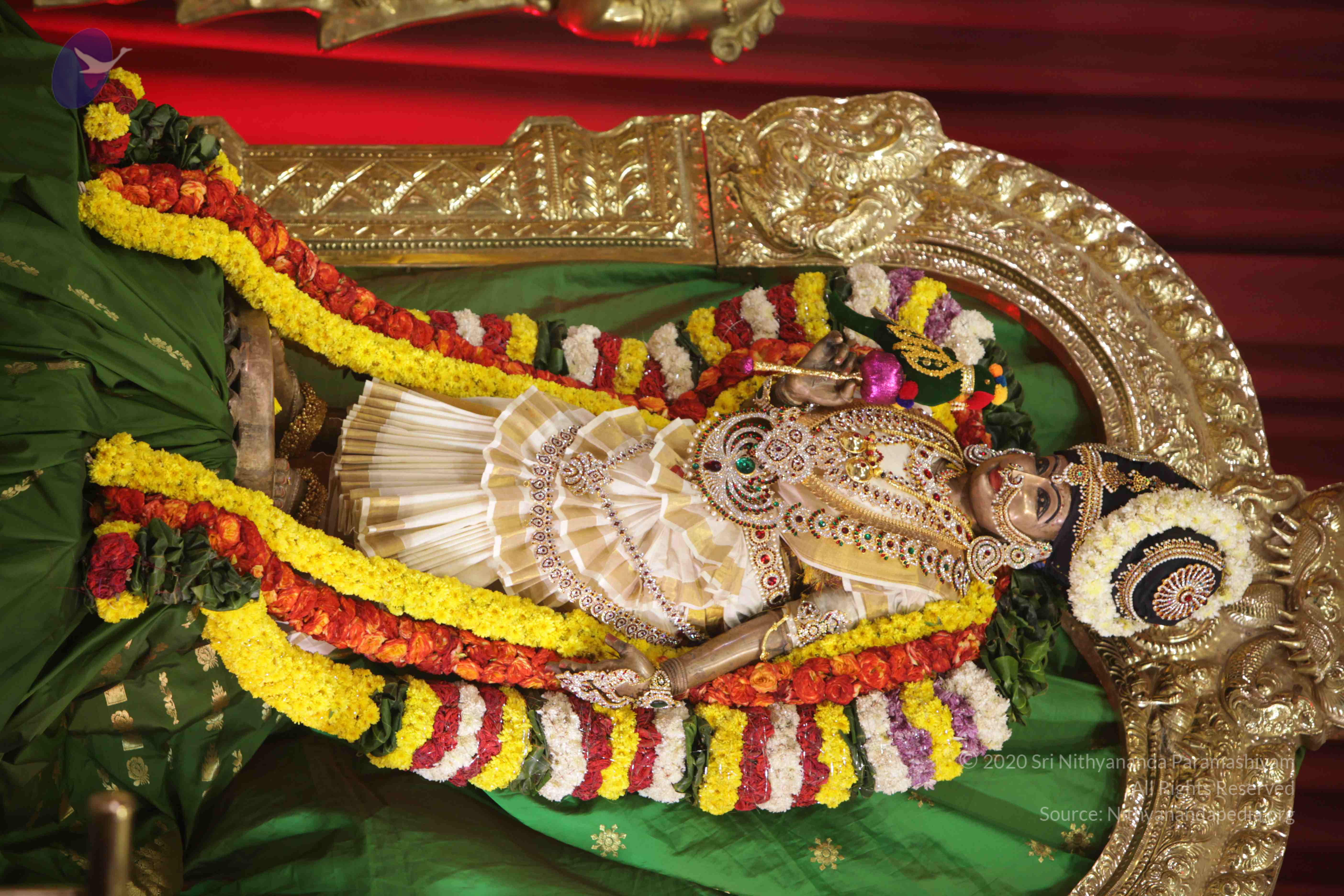 20171111_Photo_1001_1a0-HdNobTrViEafIEufnM8gFRA4zk-9o