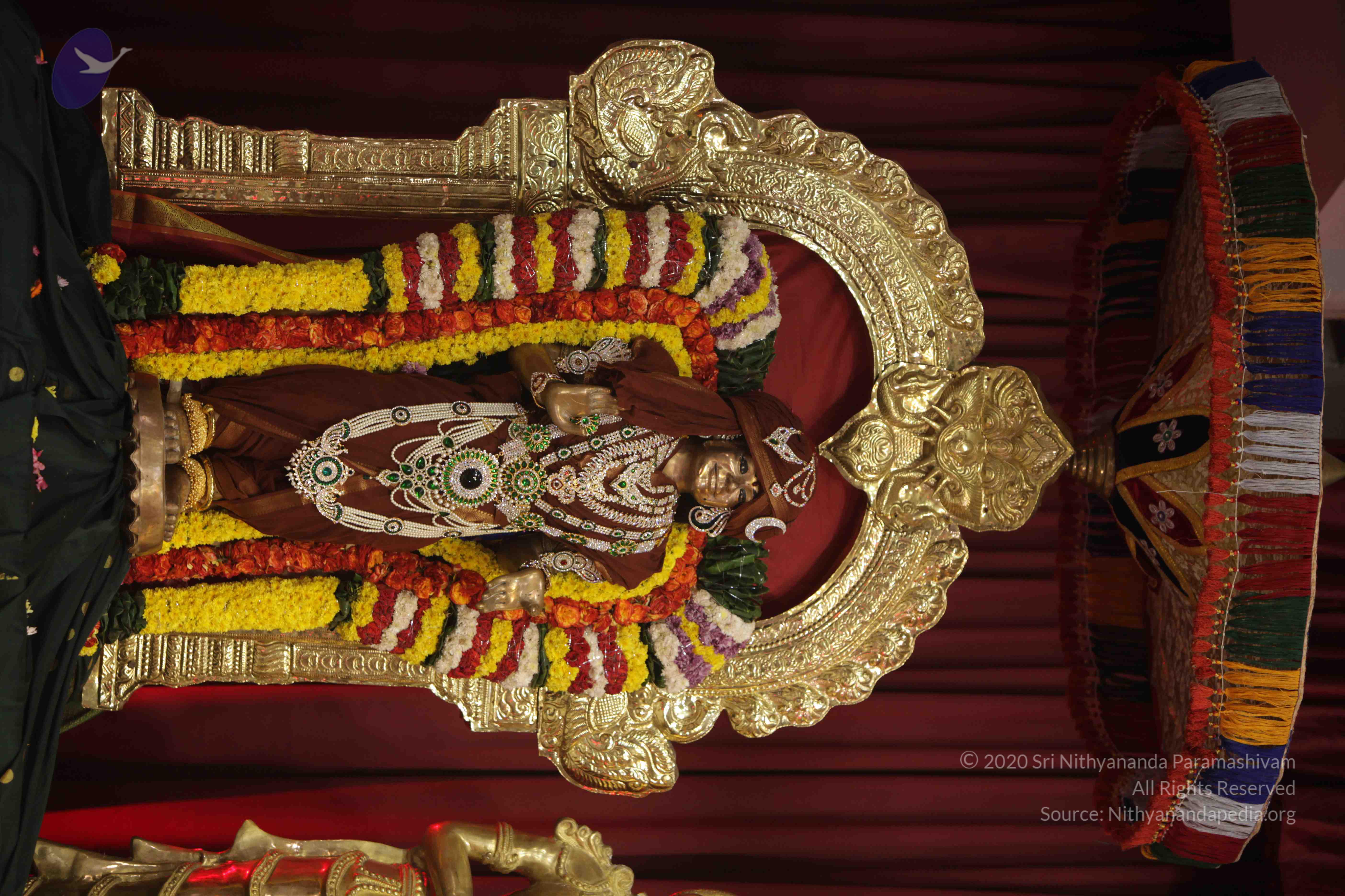 20171111_Photo_1002_1cqYislk7EwmxhbtFB9_NyQ6MMuNA829a