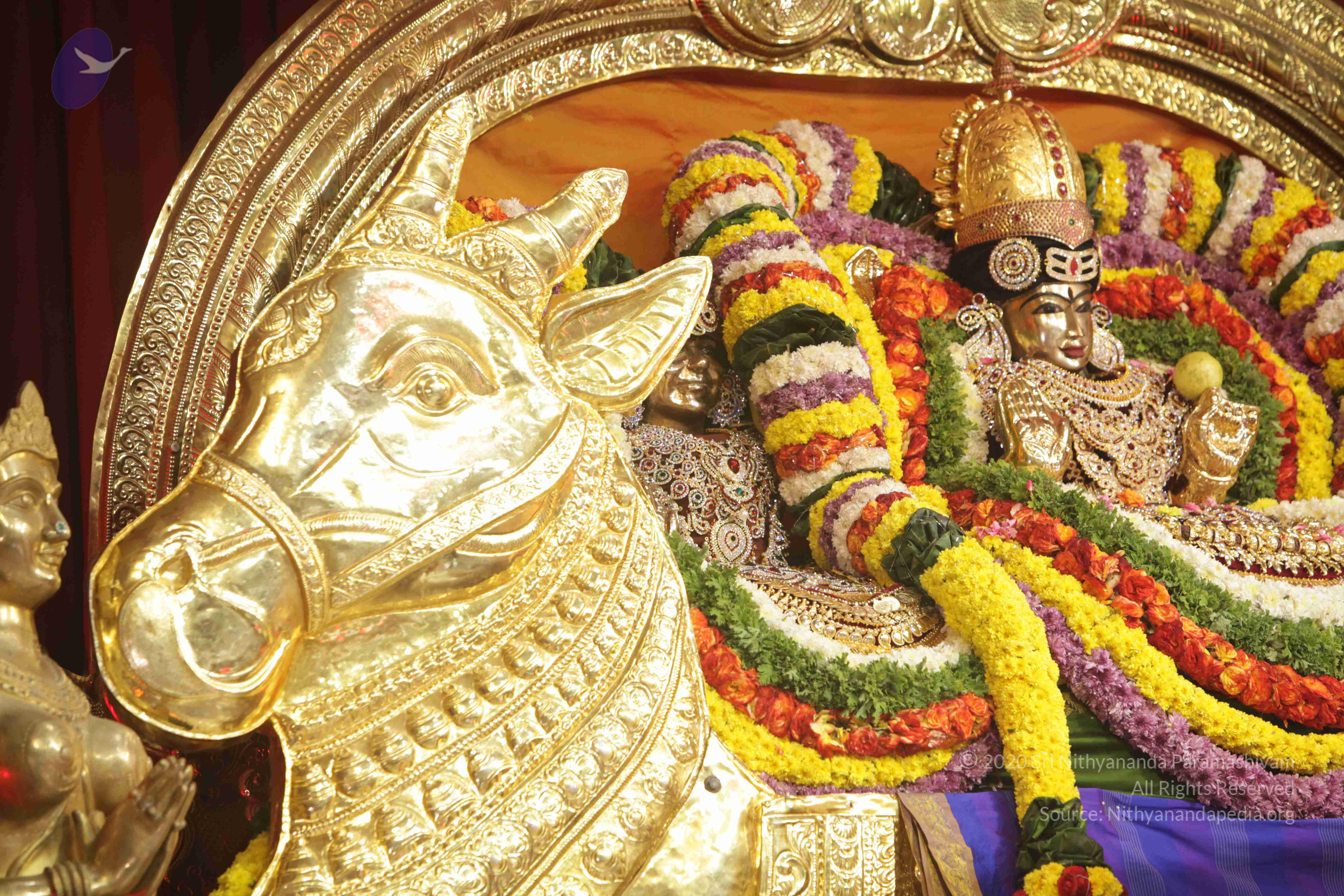 20171111_Photo_1006_1R-9UWSuvGXmCI61xwN2q-YVRbx0ujT8i