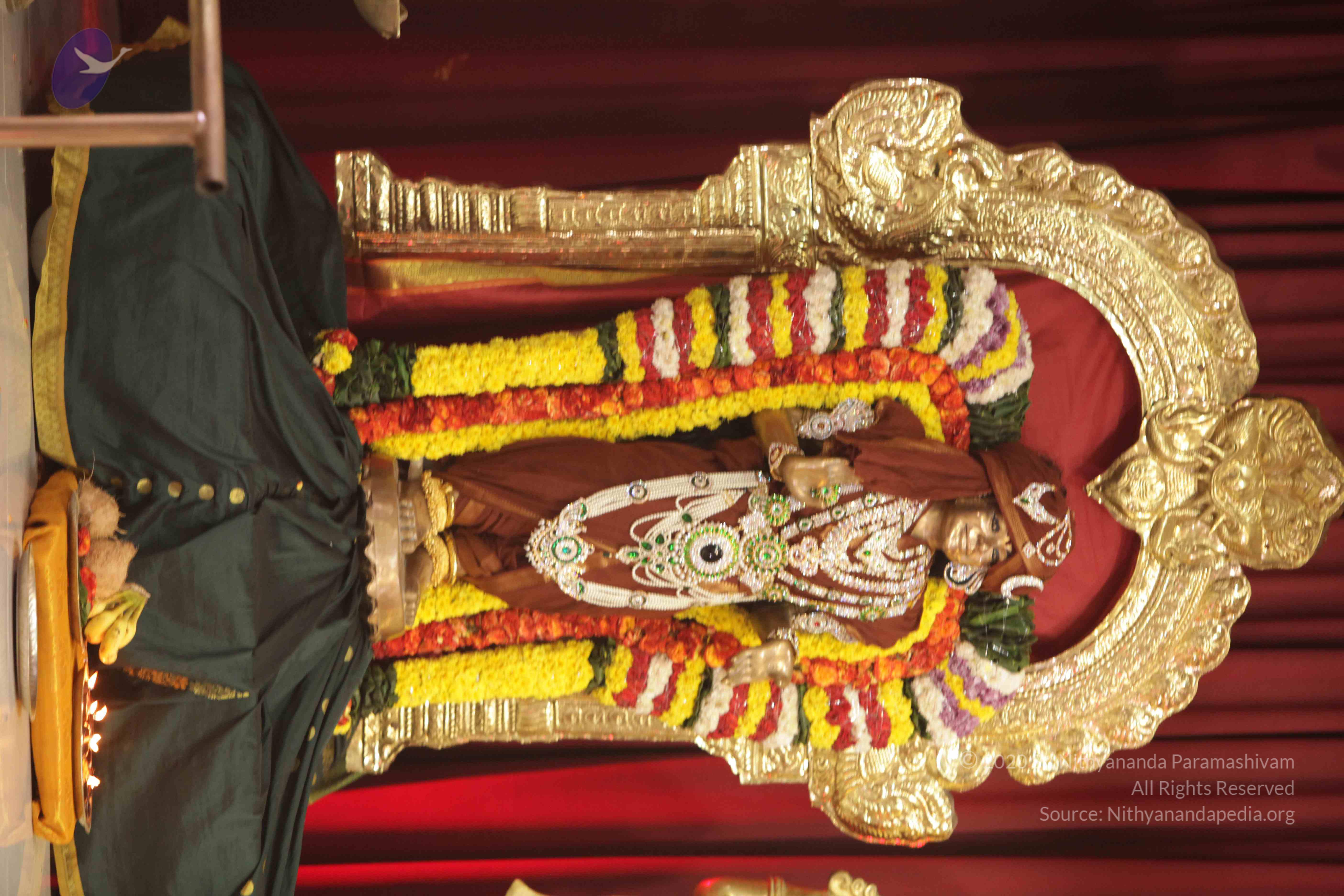 20171111_Photo_1011_1dhJGGkeVep_pxV975Vxa_kM93ivKVU8M