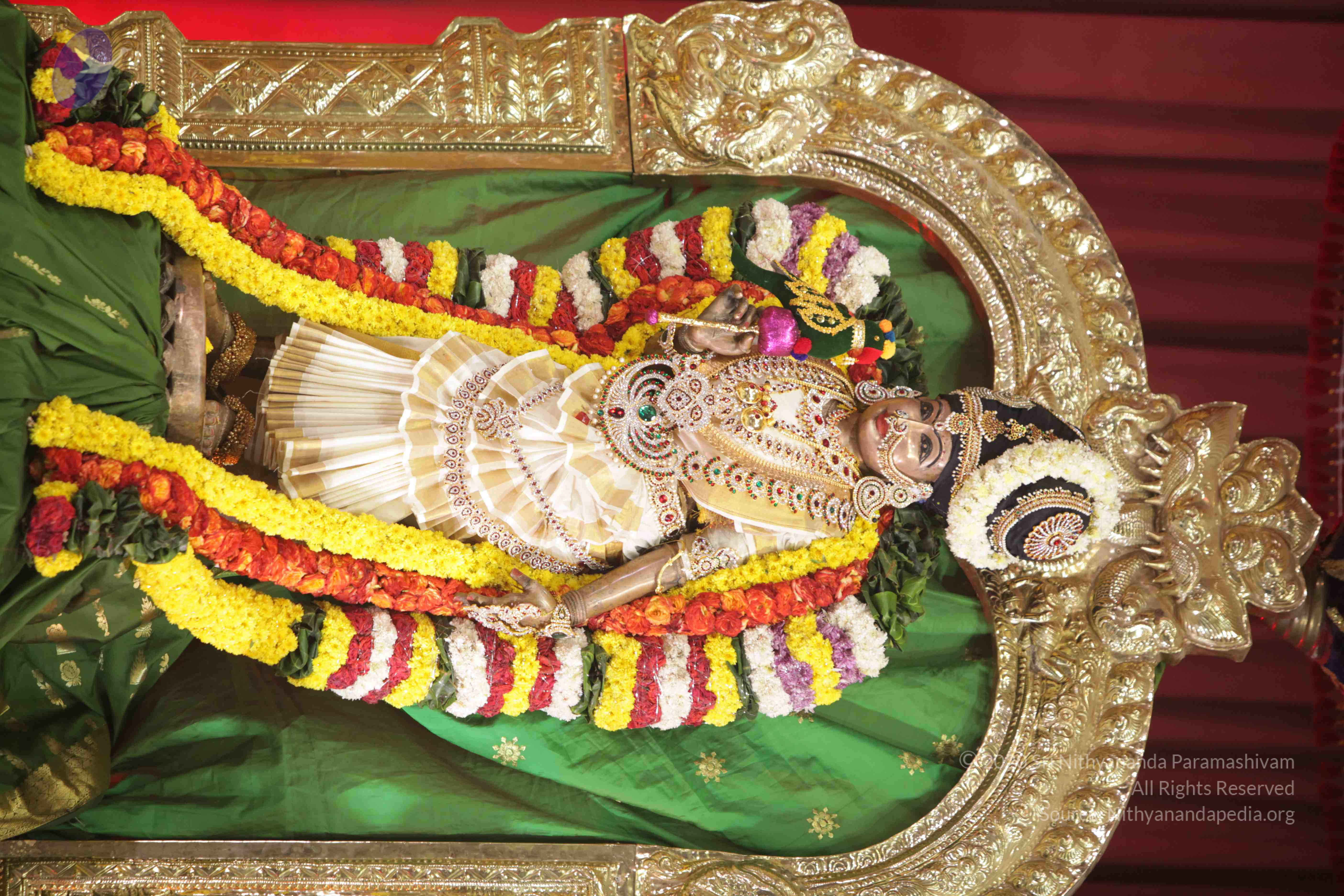 20171111_Photo_1012_1BhOWTPLKmN66uhv_9Oaxw8xVNSV1llnO