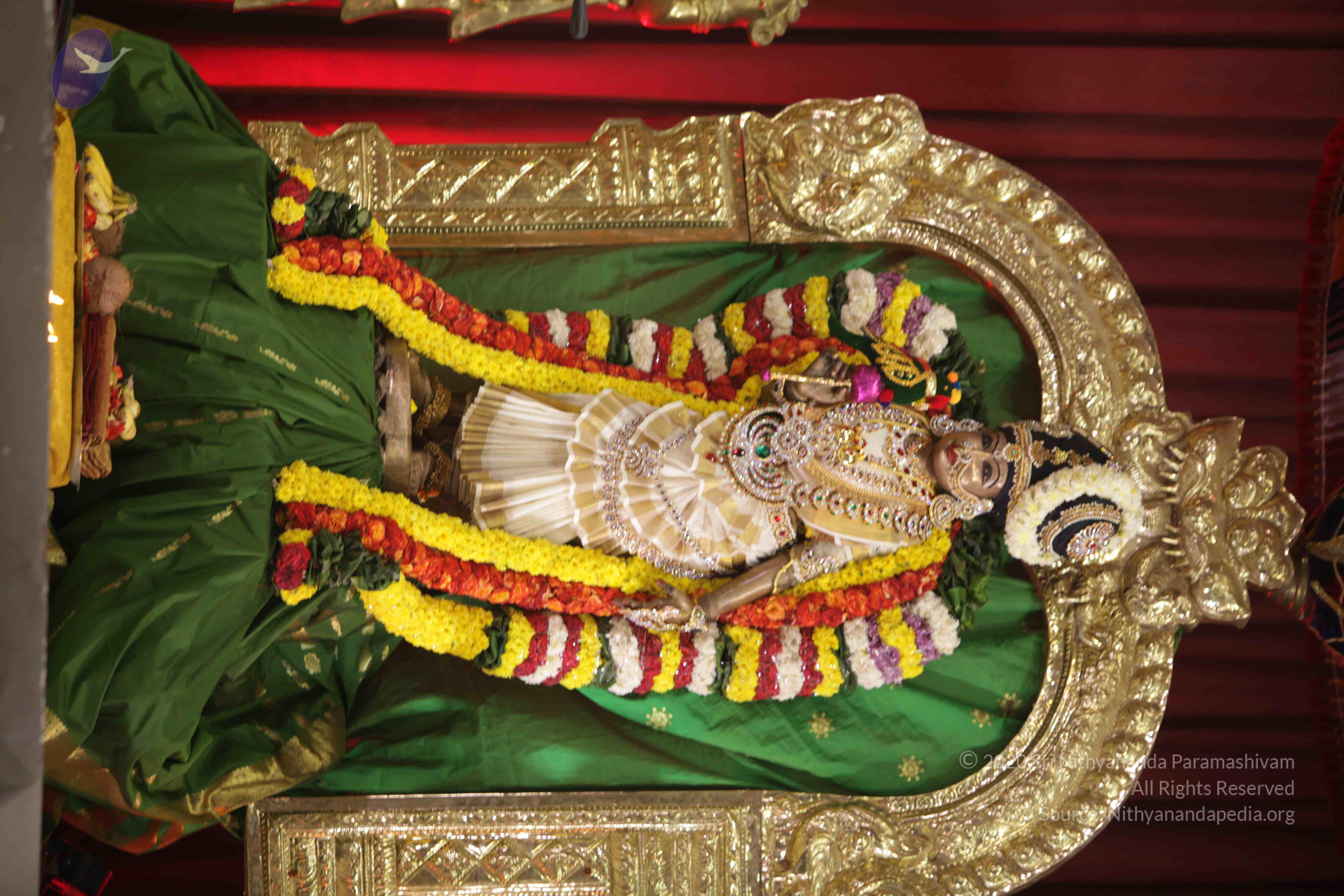 20171111_Photo_1013_1vCb4ozEnWTIc3-trztO1viVPfGuCiB-f