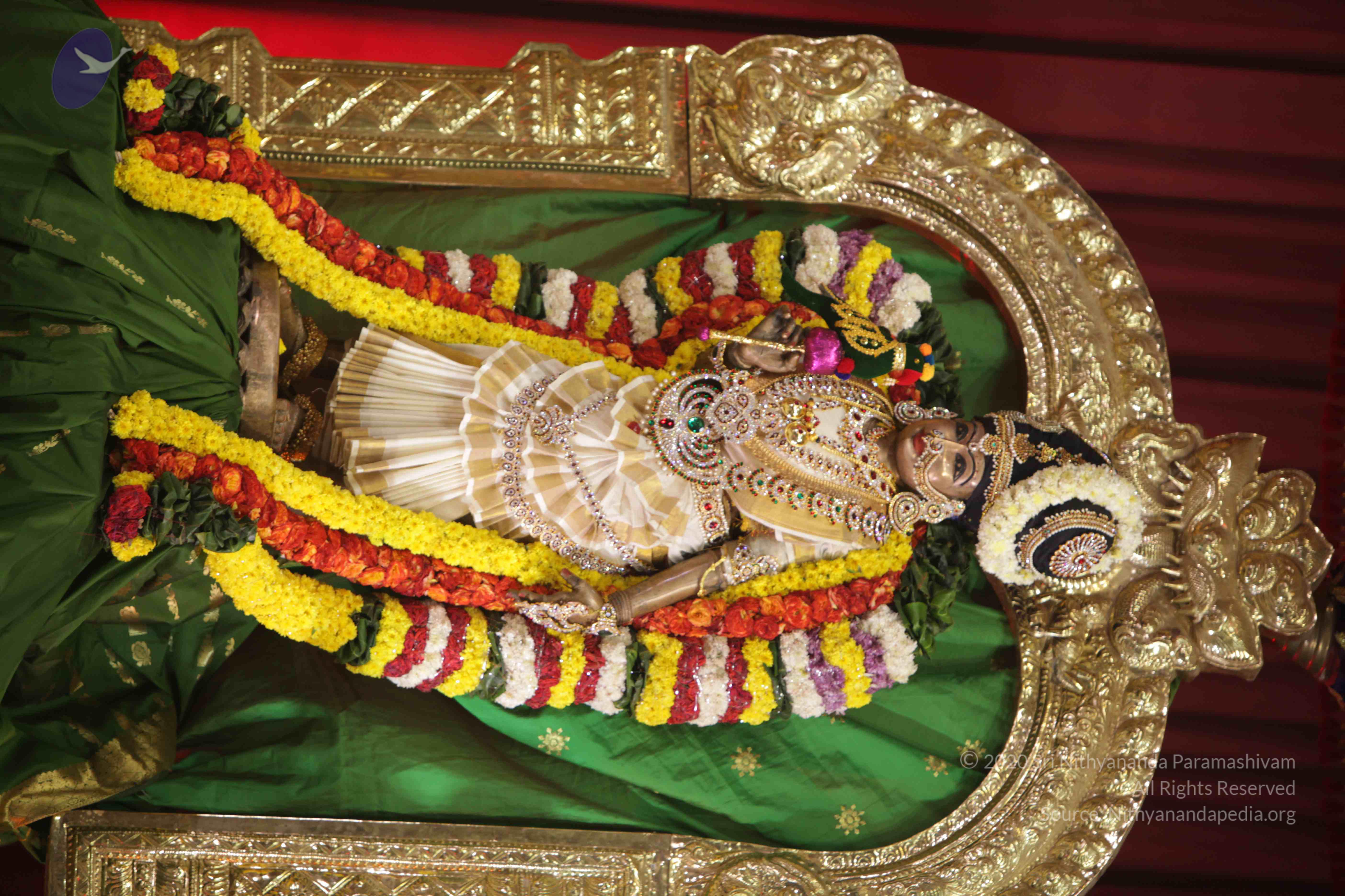 20171111_Photo_1014_1JiHPL1cuBlCBgQJml_5tpzua_x9SrBgp