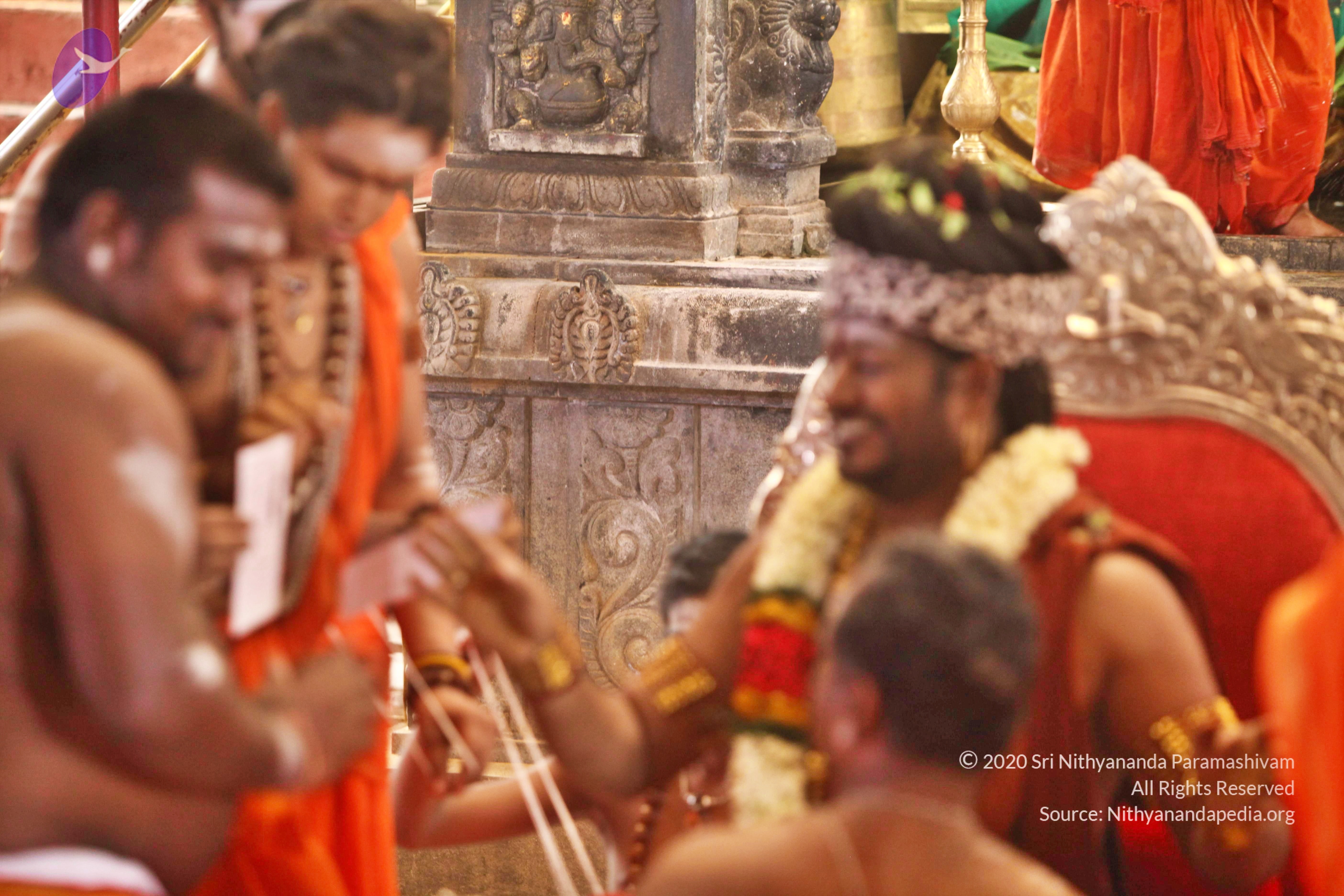 20170910_Photo_1106_IMG_8549_CMP_WM