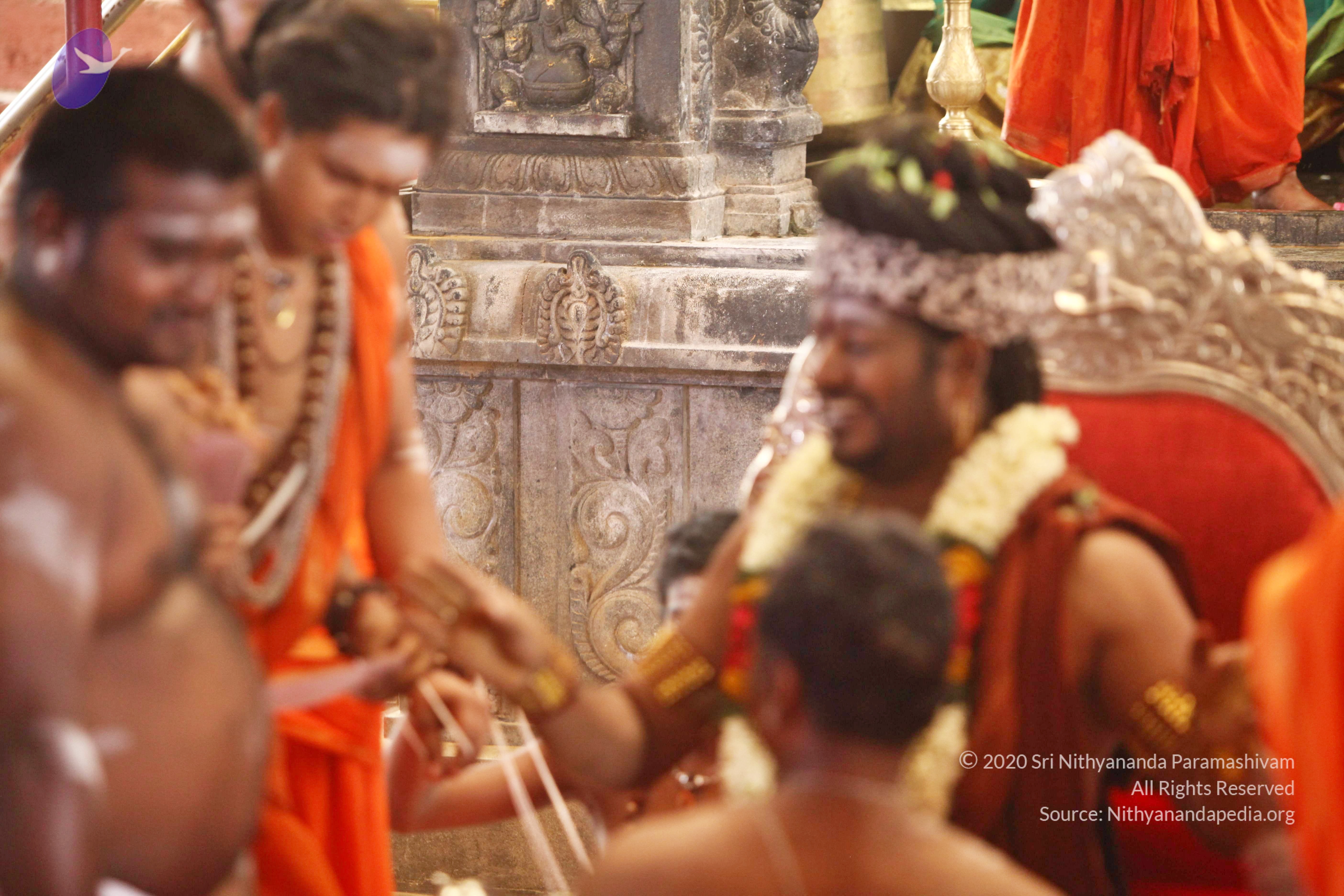 20170910_Photo_1126_IMG_8550_CMP_WM