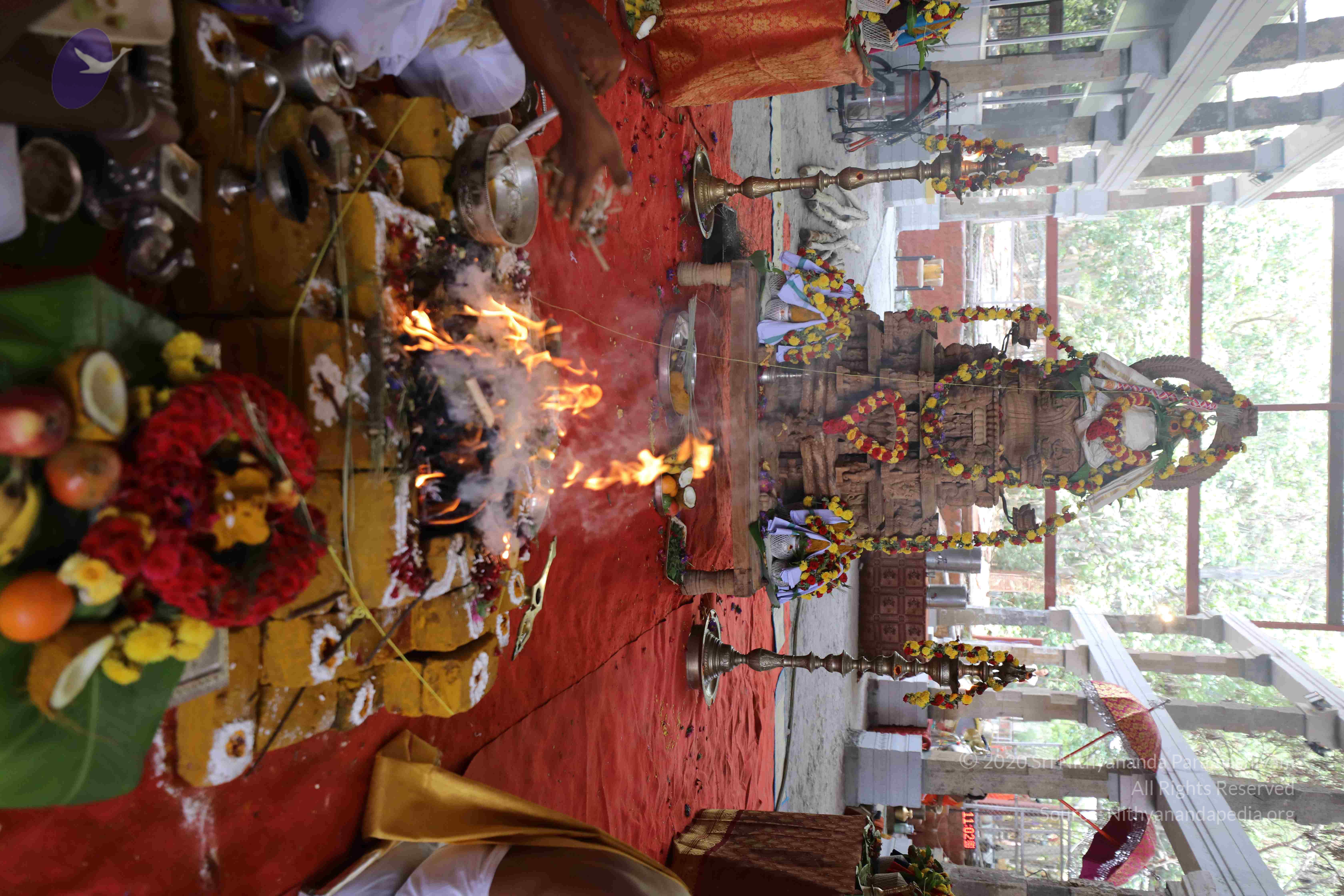 20180404_Photo_1010_100__oP5Md18VRtW3k-gNC1eRBAHvKQ1e