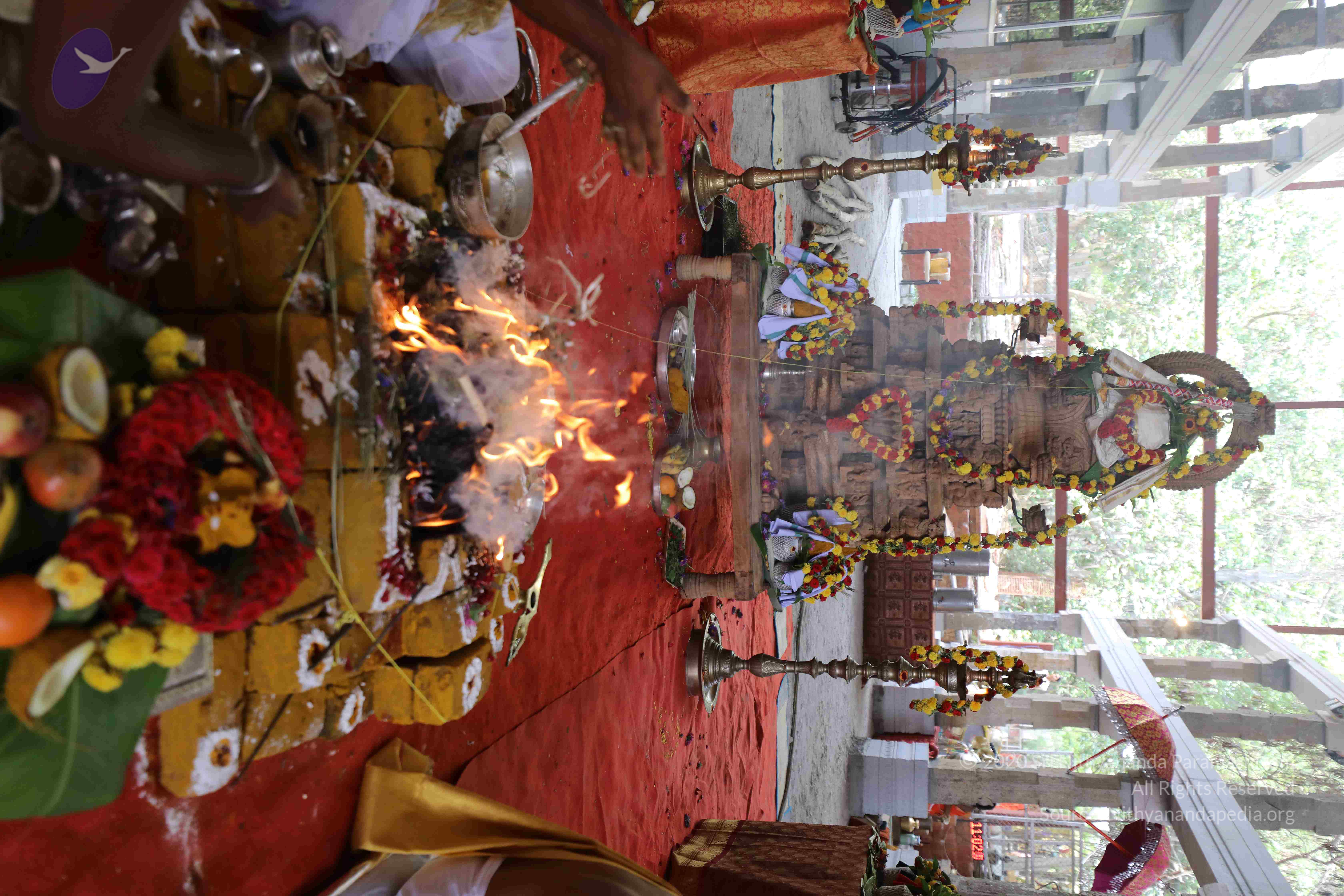 20180404_Photo_1016_1masEY9PfIod5u4sxd0x33qviBd-ML3Jf