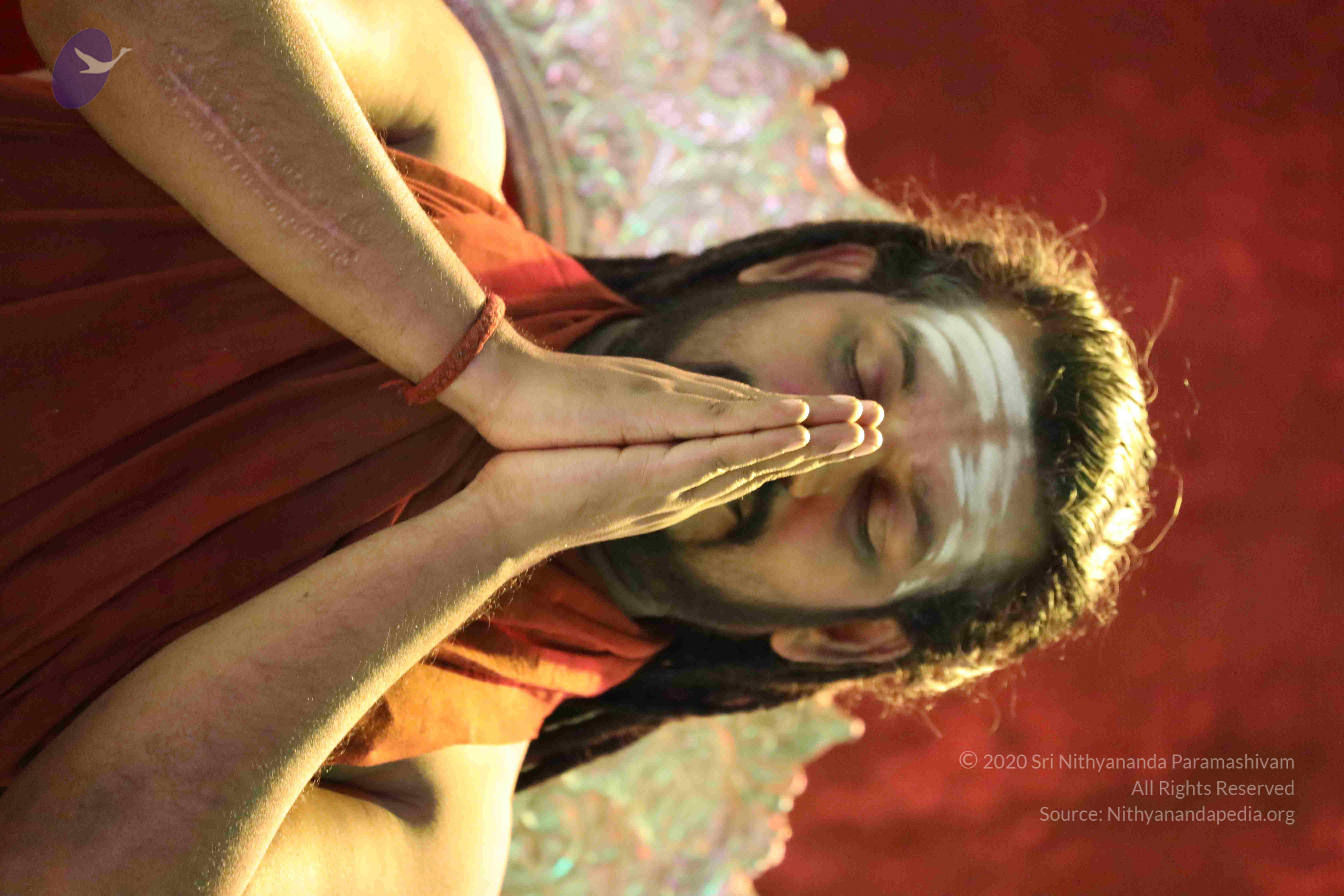 20180404_Photo_1003_1uvcLpk35BT7ncTOGk6ne4eWXvM4Pi6zx