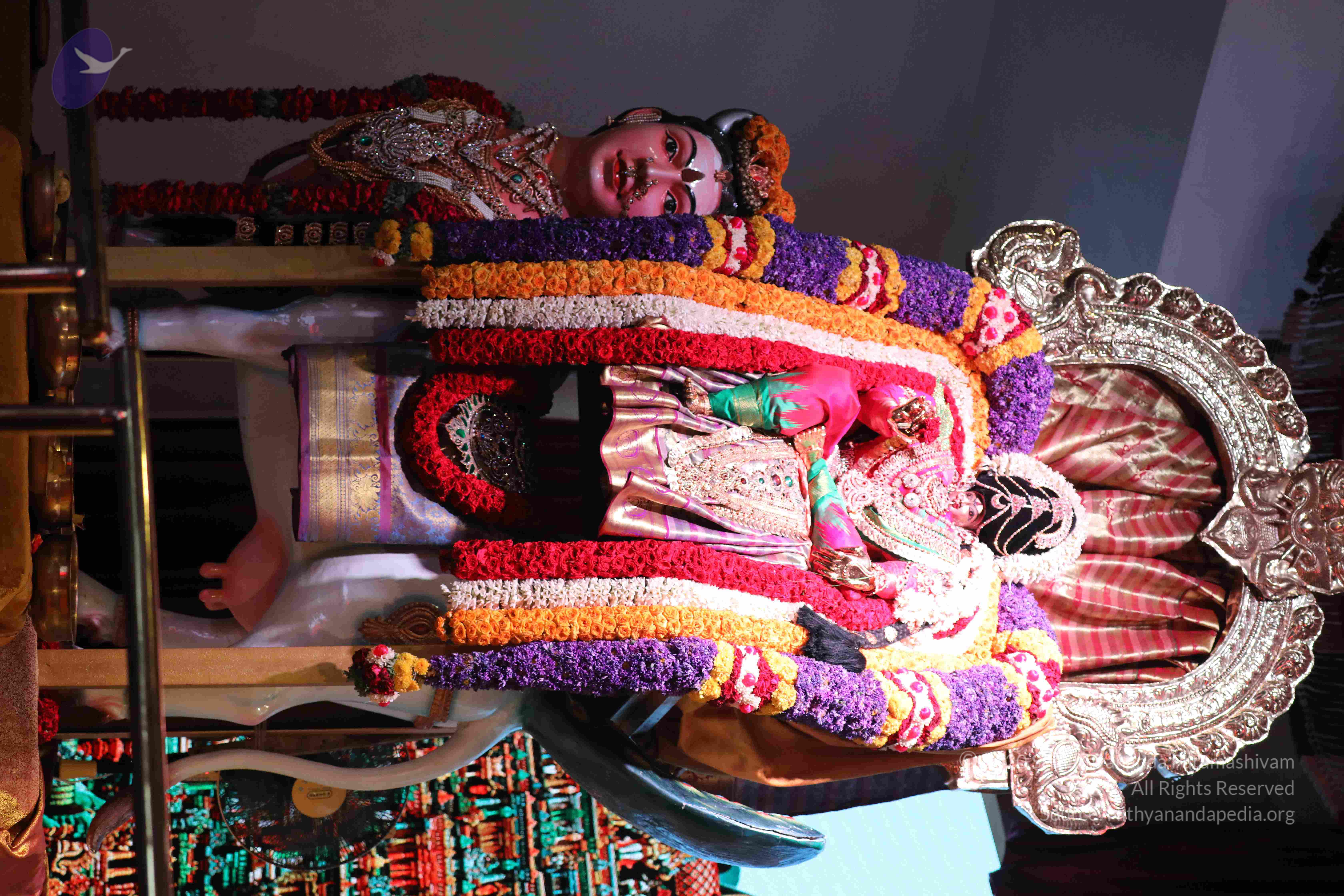 20180404_Photo_1011_1JY2735wT77WB1-G0M6bqfhGy1g5694If