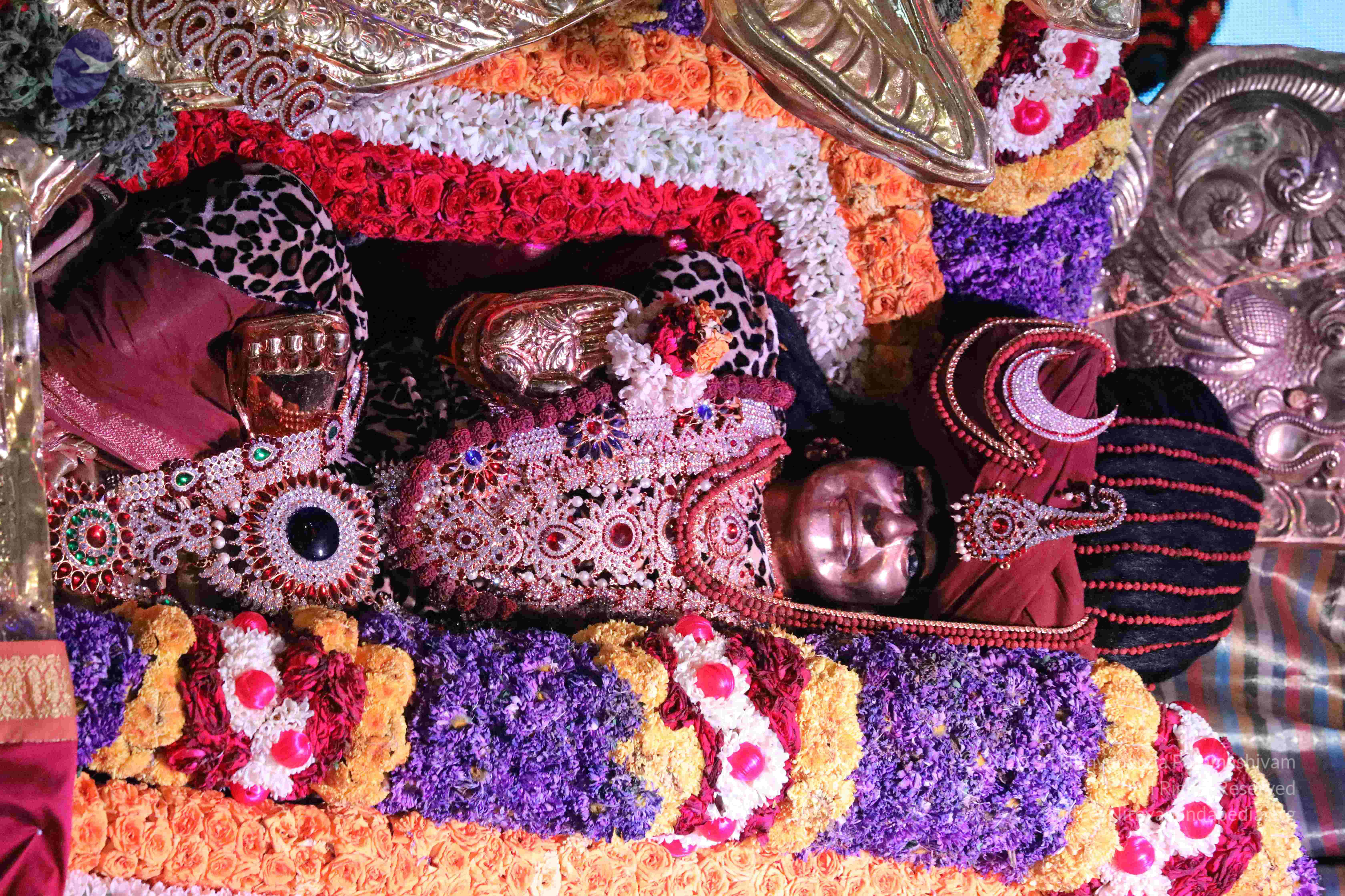 20180404_Photo_1034_1LSP6JLjKRzPdltnyetGePrdd5YR1DeC0