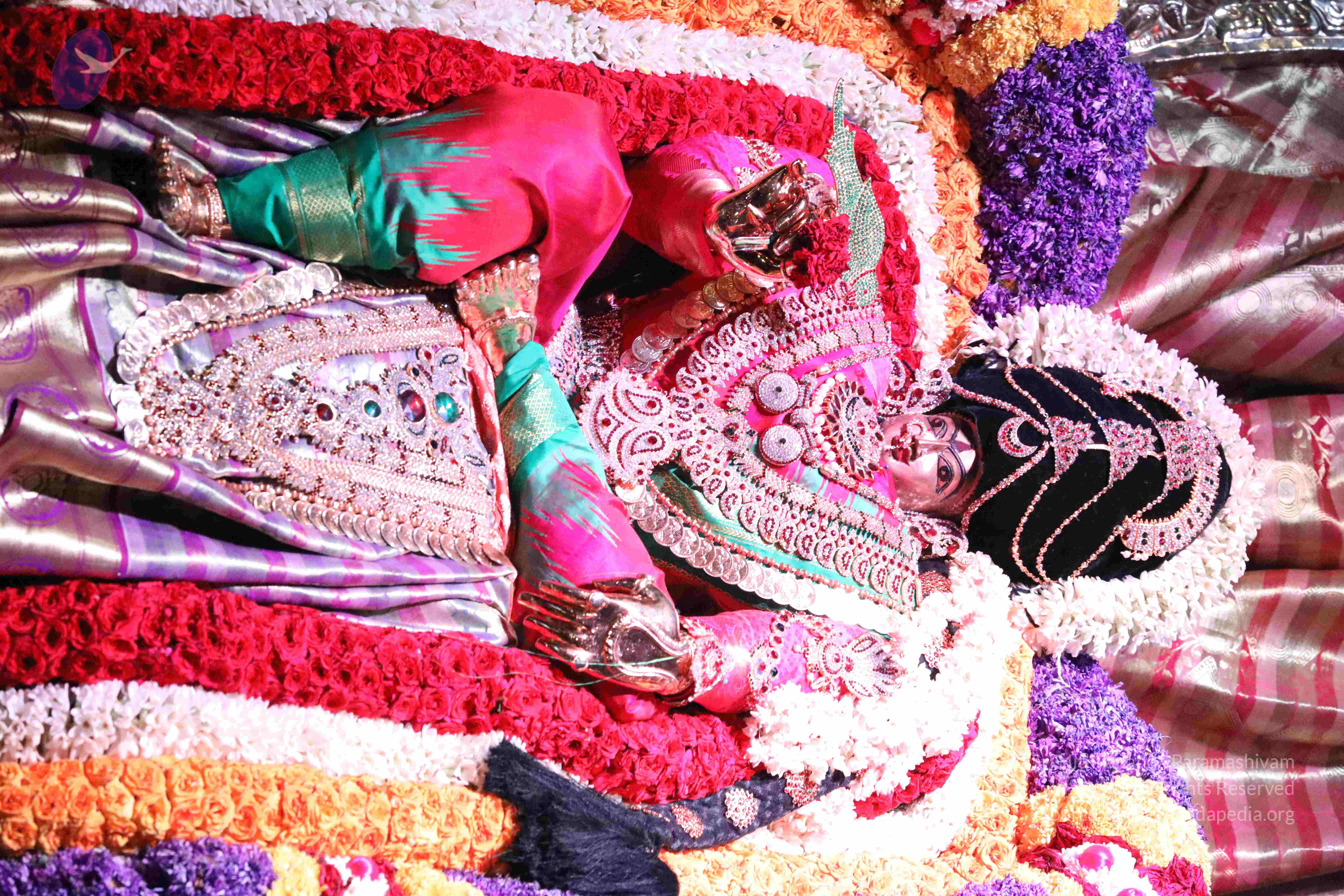 20180404_Photo_1072_1UsvuYL8MXQJXmP26MkW9P1DN9QmA959u