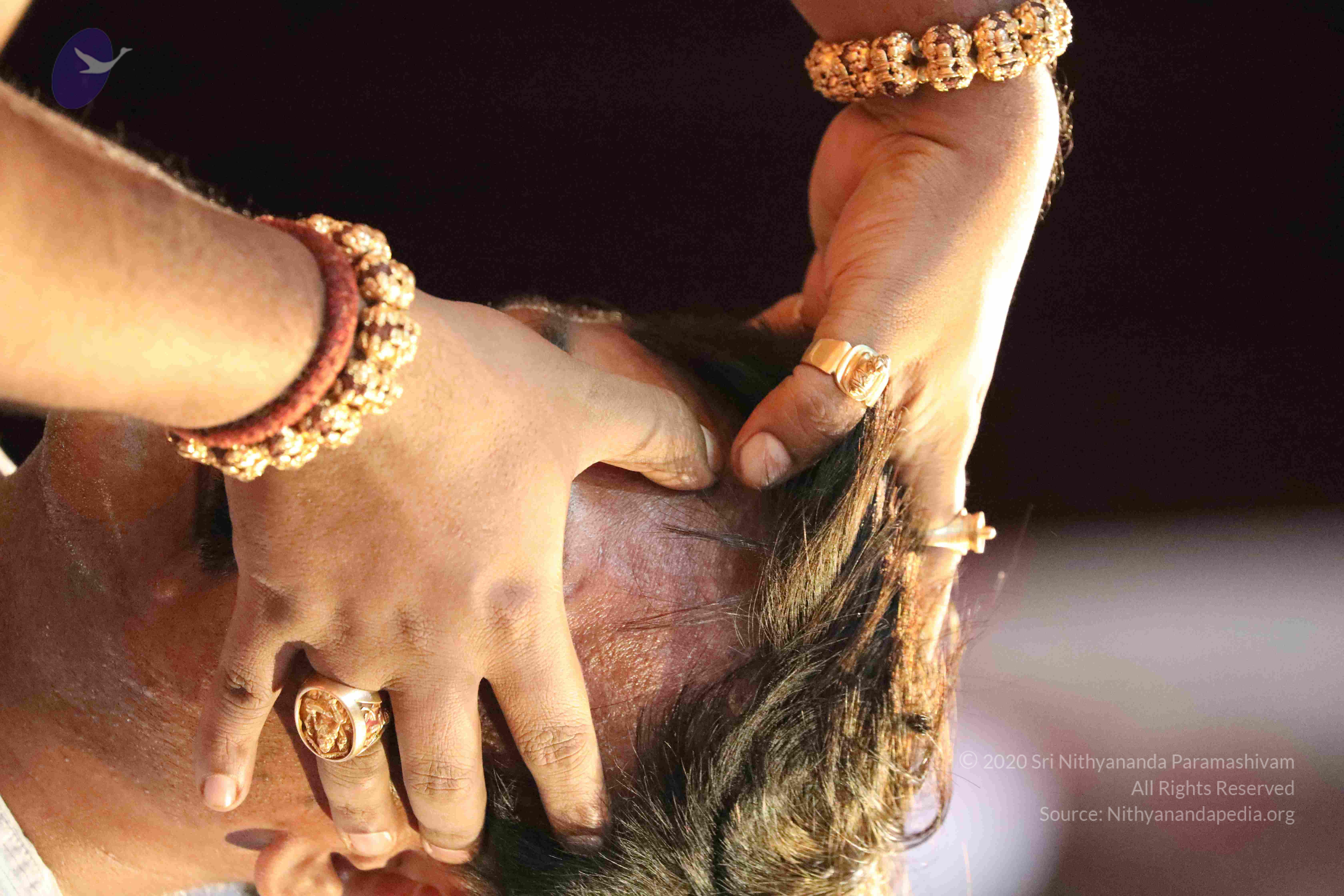 20180404_Photo_1092_11EuF7mbCCDaavbvHNvrbX0ndGdzHNU54