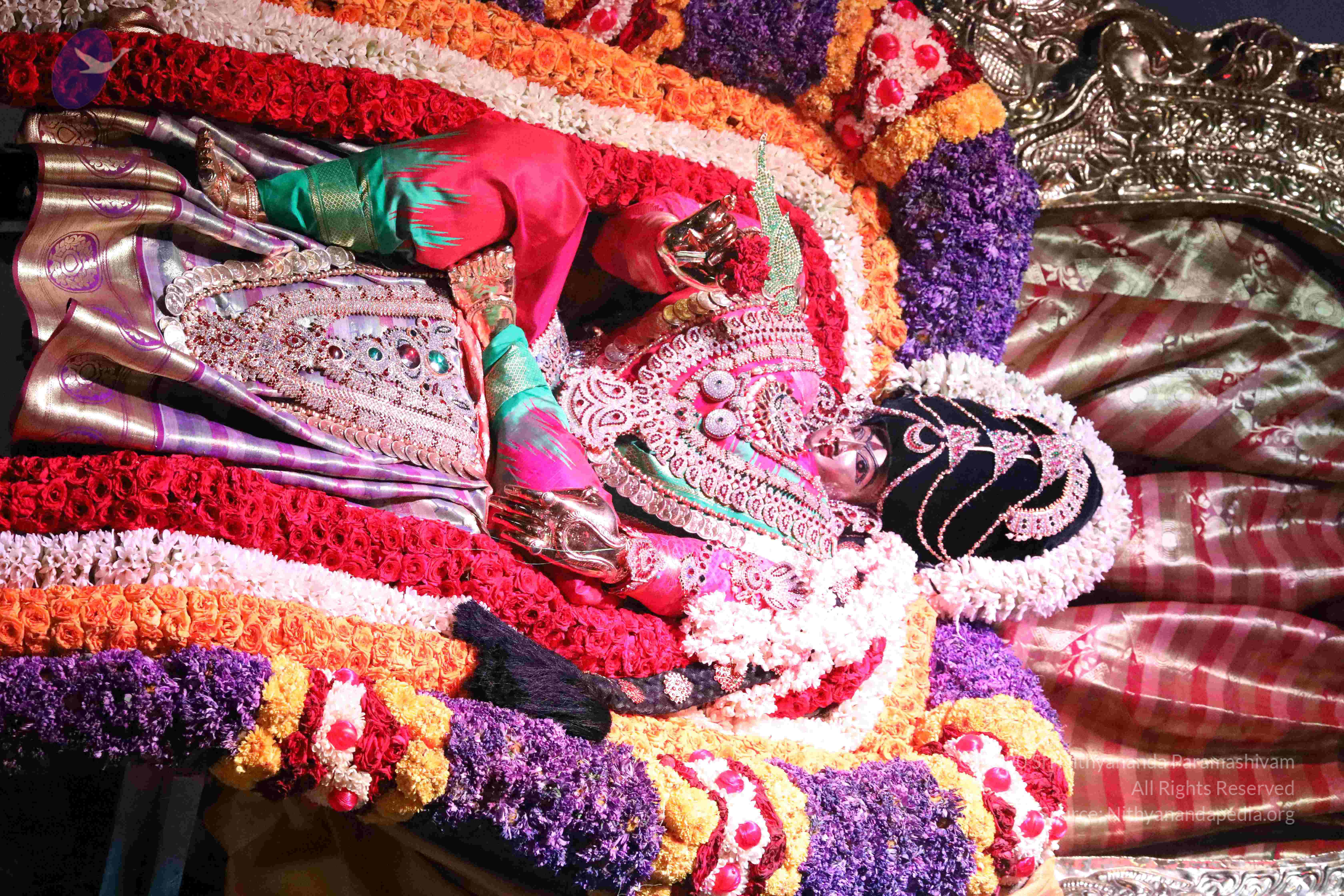 20180404_Photo_1182_1q-jgAGUhF8ec9iDVLRmp_h37-FKddF90