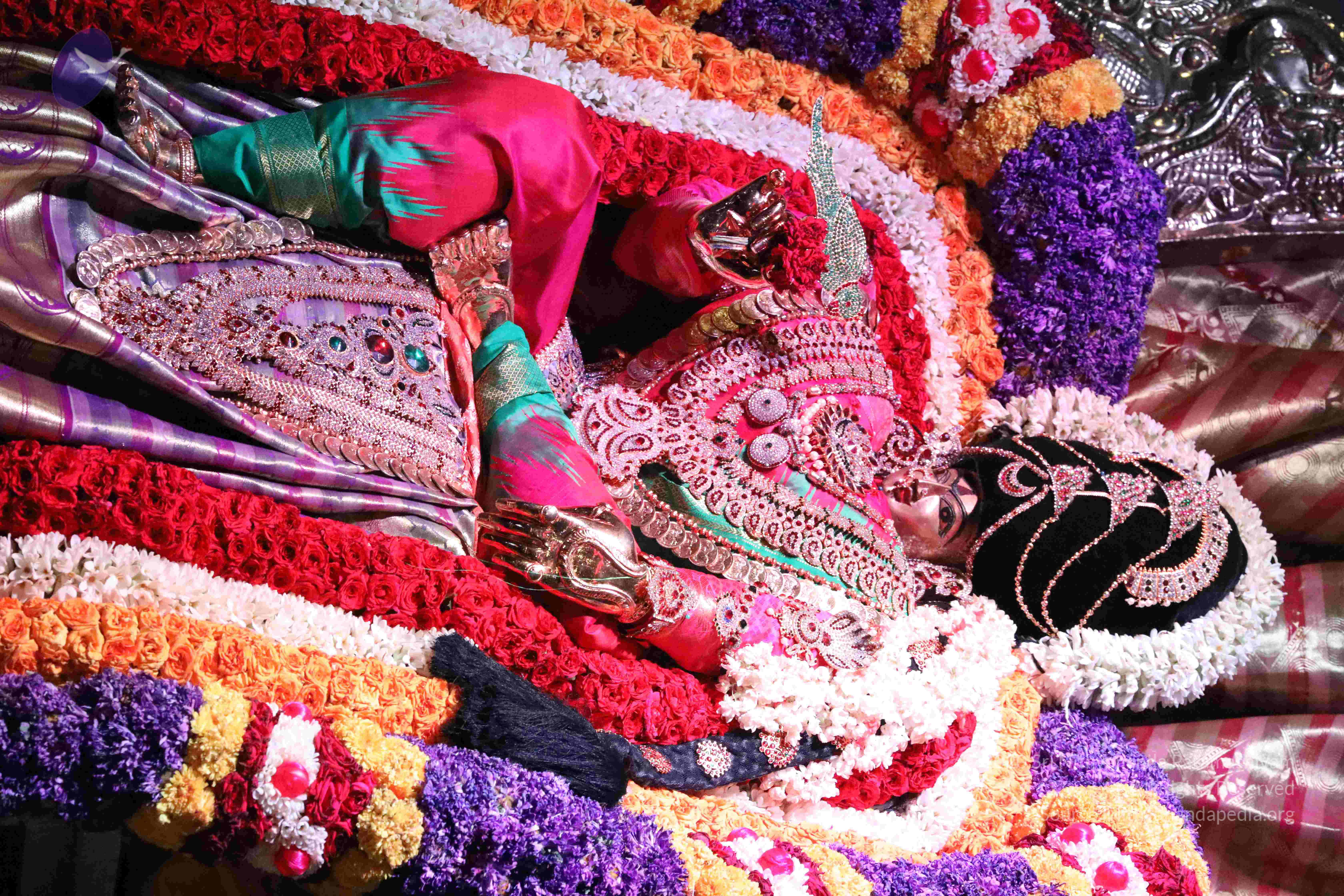 20180404_Photo_1187_159wuRSSc9njAbWU7-uEo6NmI4nsdZrax