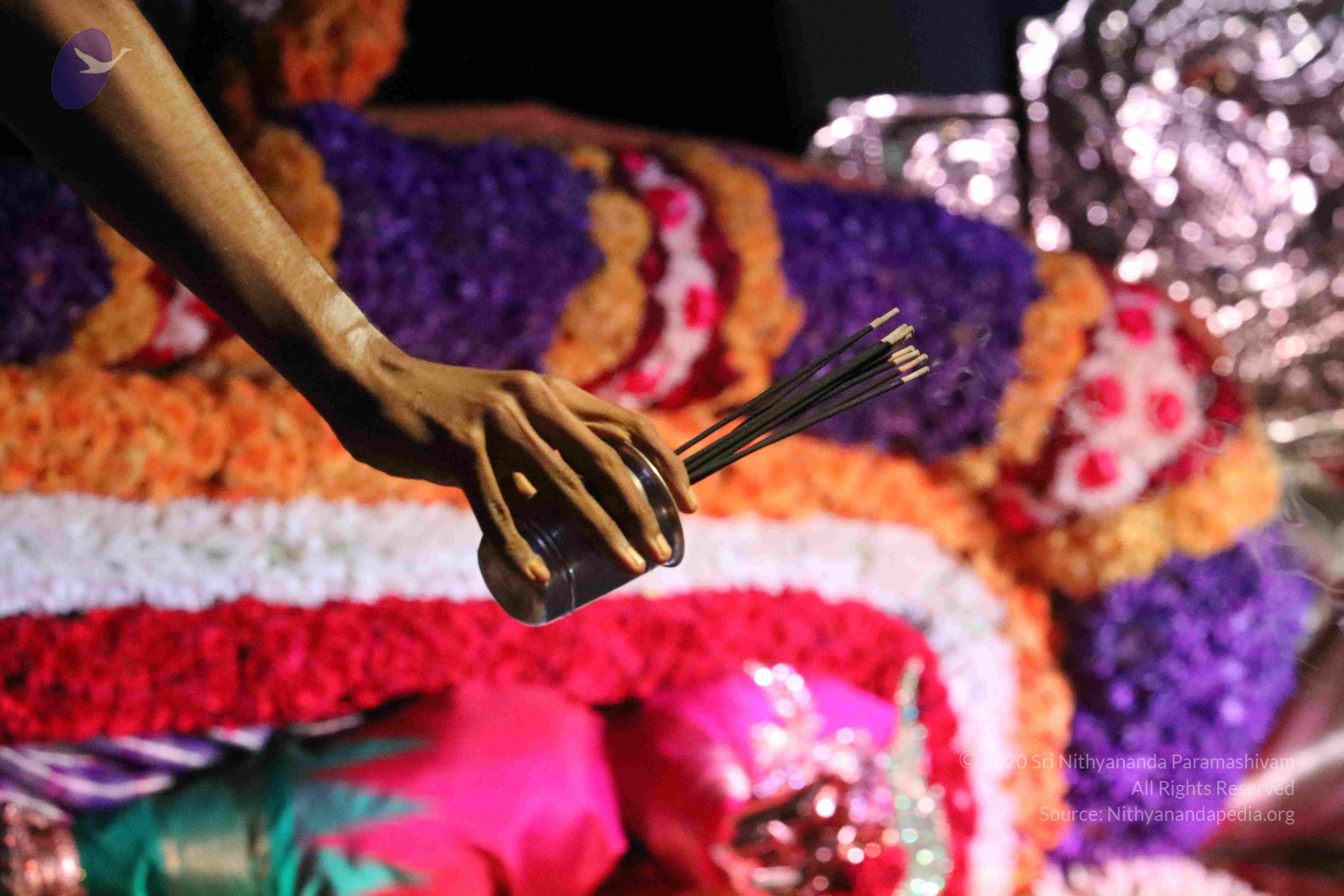 20180404_Photo_1188_123-S4kHsCjmmY9YY8sGUXKt89BTzmJi4