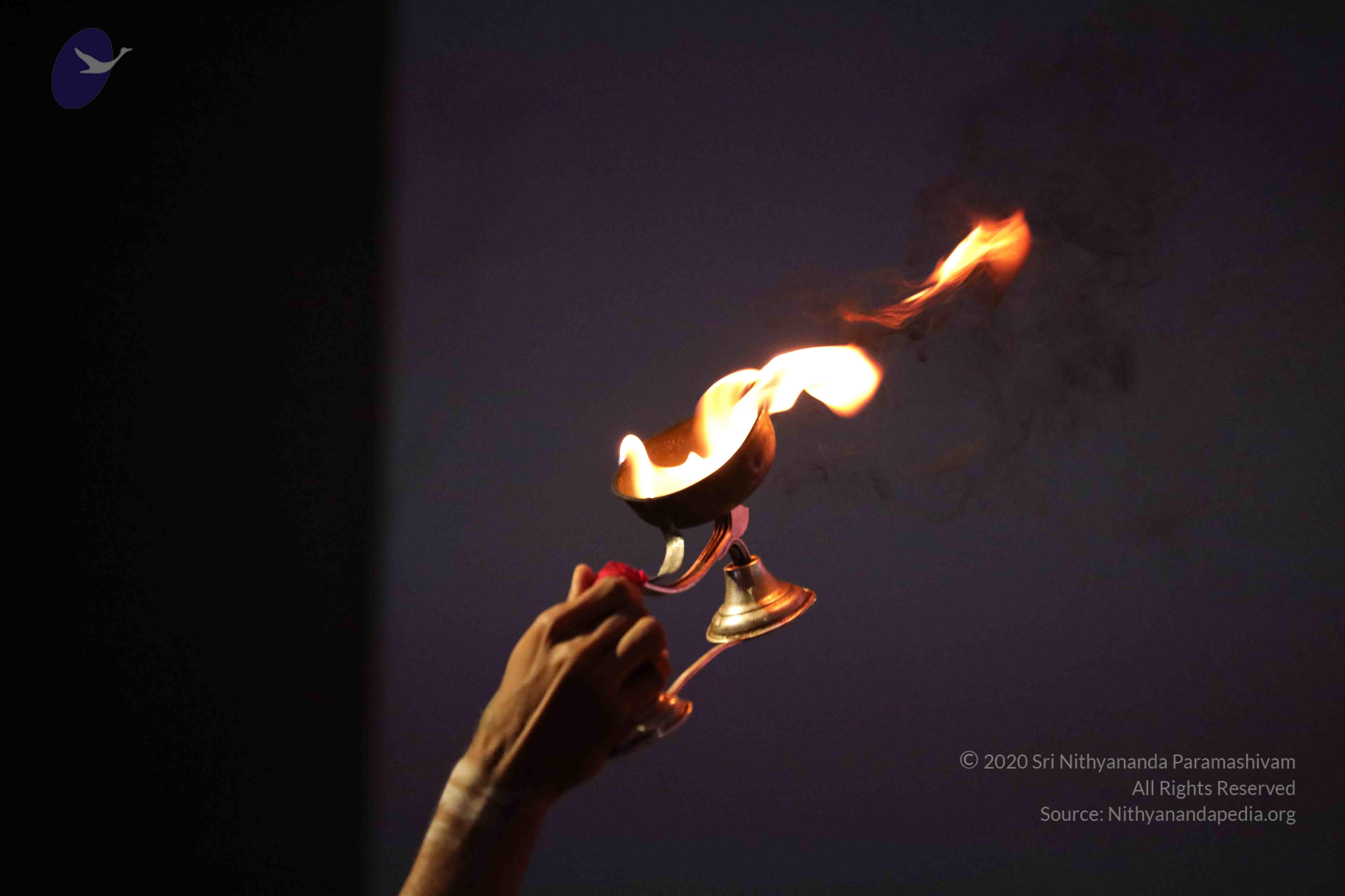 20180404_Photo_1191_1I0MucJWOELuPoY1Qv3dfXG93sd-3kivy