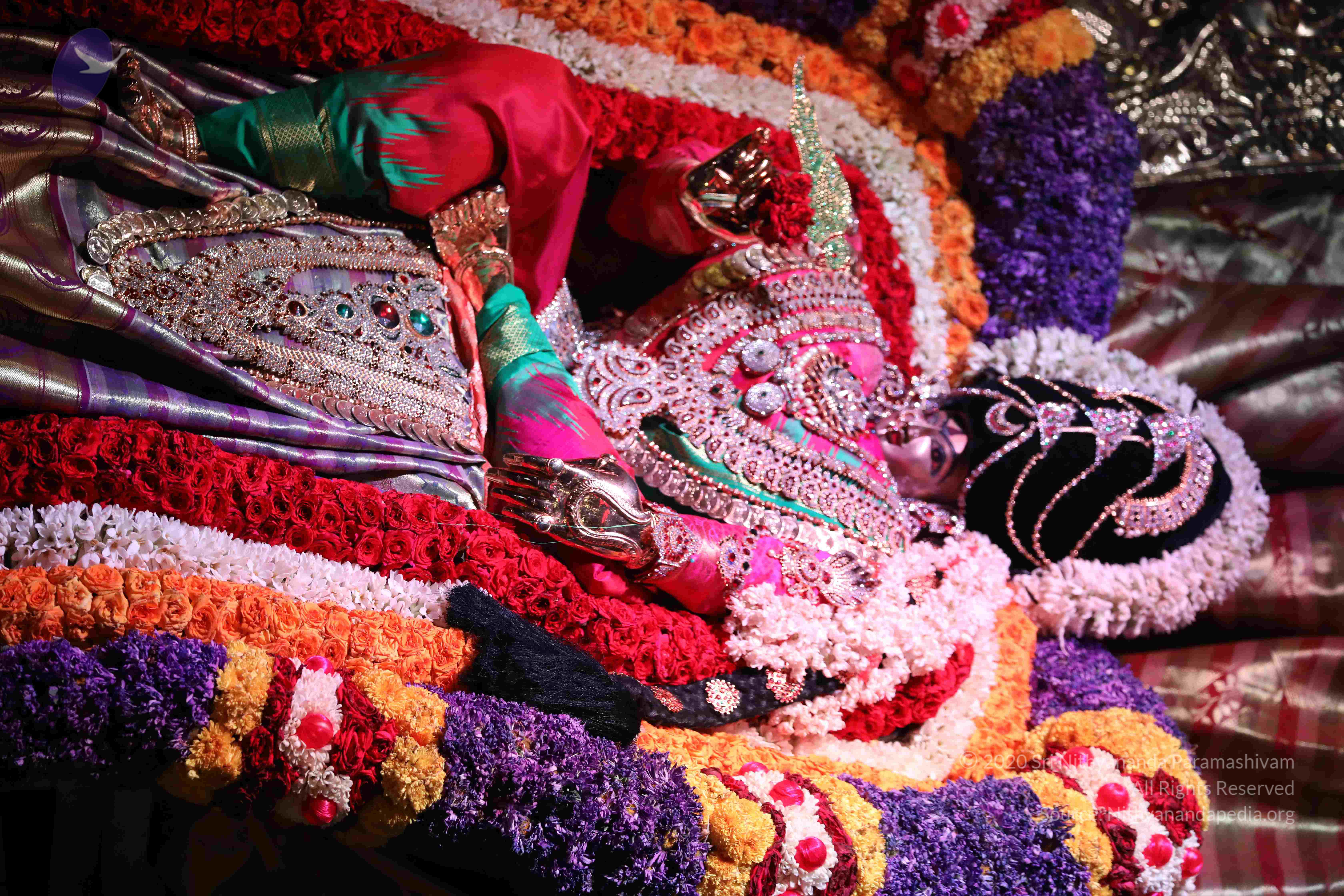 20180404_Photo_1212_1IN64XgVWBnKKfF3ircOlmjCfhOHQi1X_