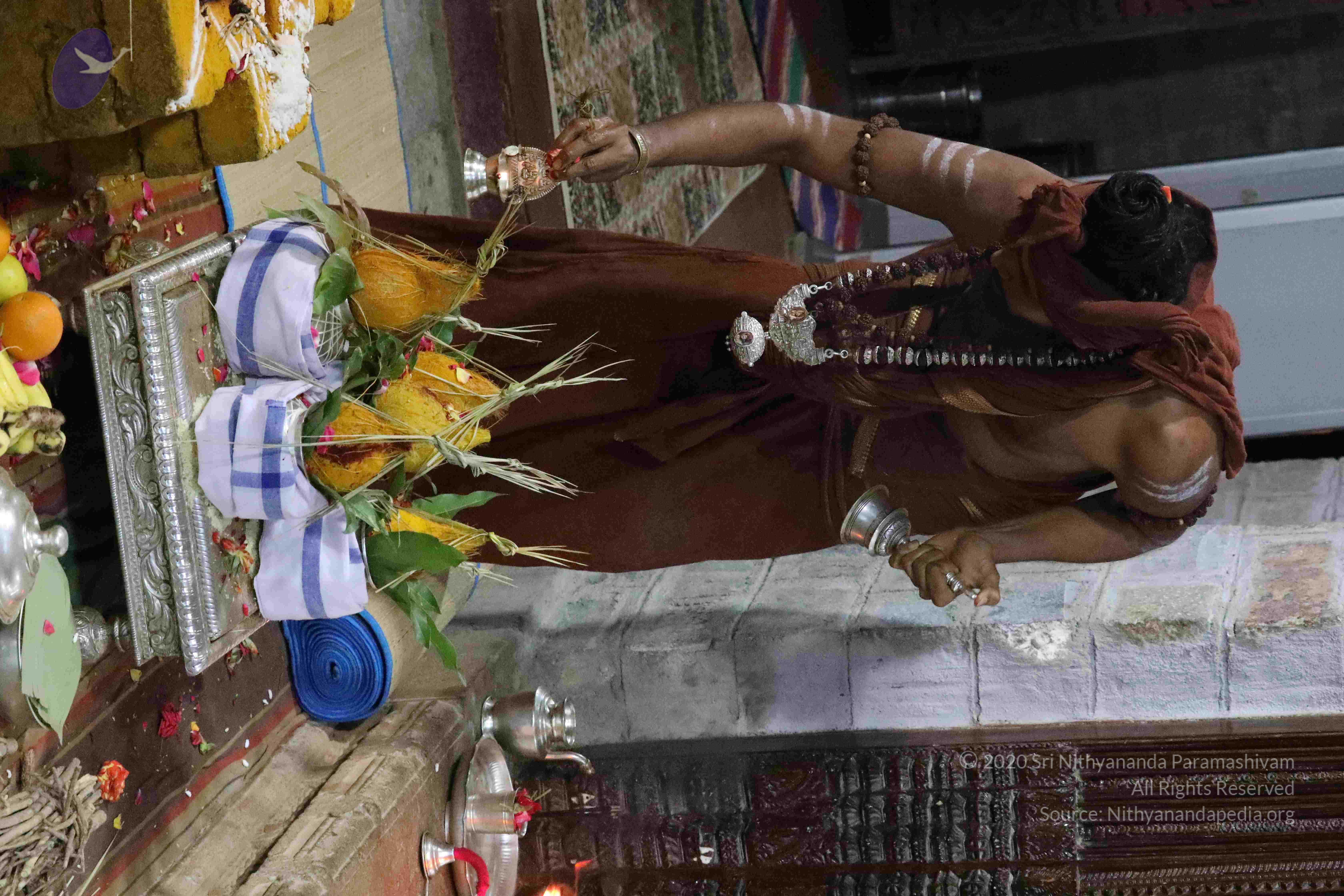 20180404_Photo_1040_1IOlgRSobfs9OXrosXbyJmY3r1M38nVWN