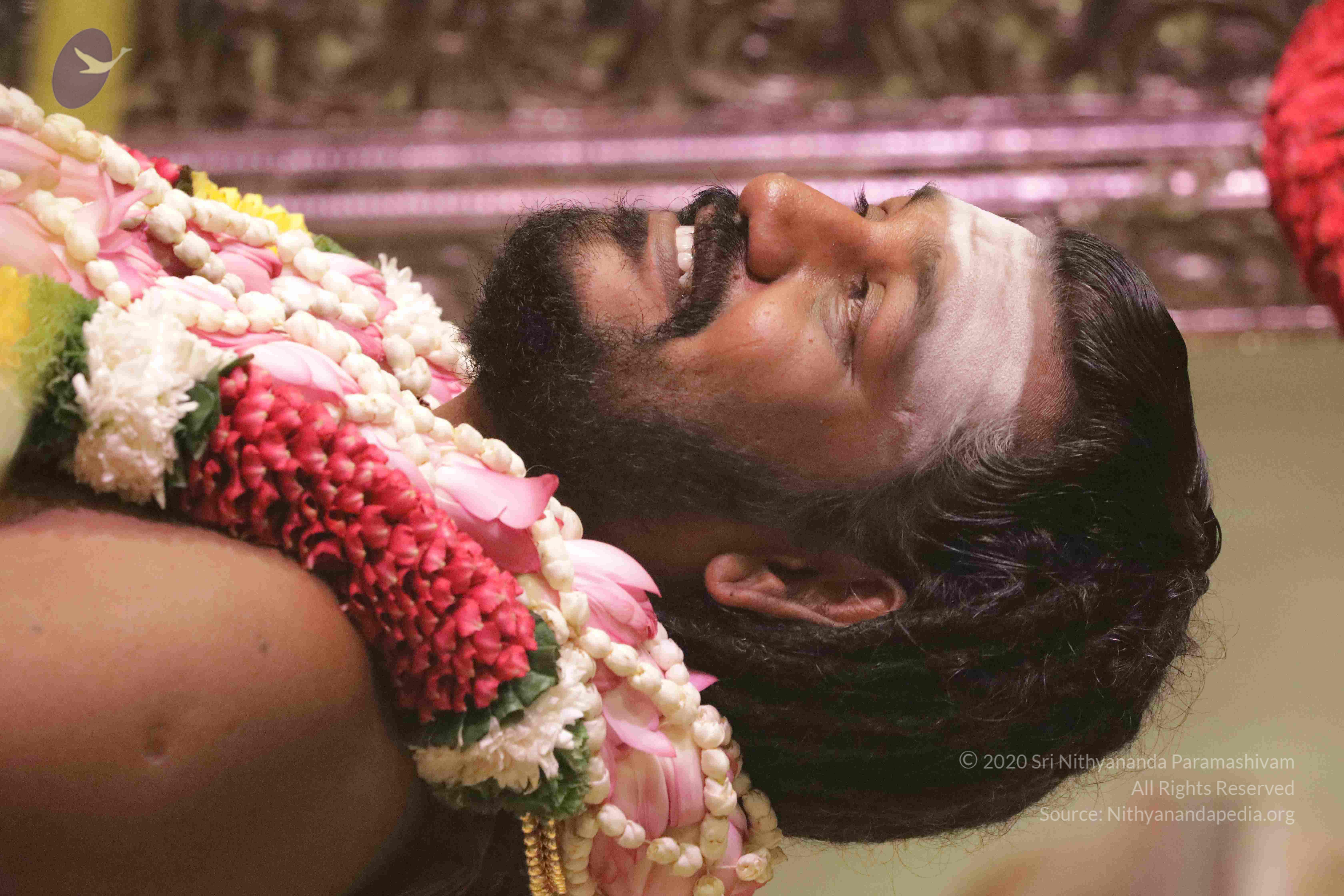 20180525_Photo_1011_1mq4zA59qQzH-5Tdarekk939YAEn0cov6