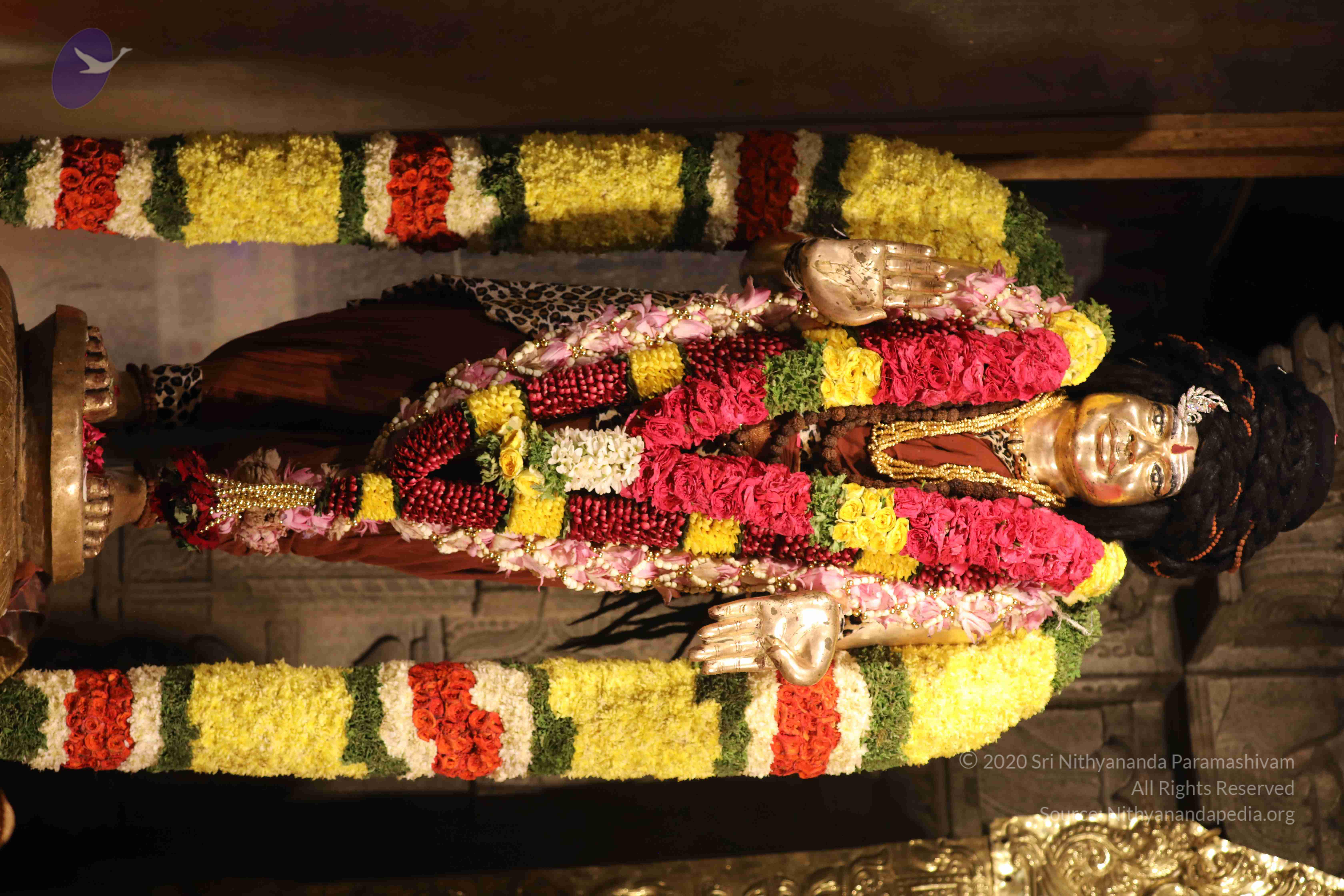 20180525_Photo_1013_1hV72sNoVNBJi-557JjH0RhwHvJbrF6FC