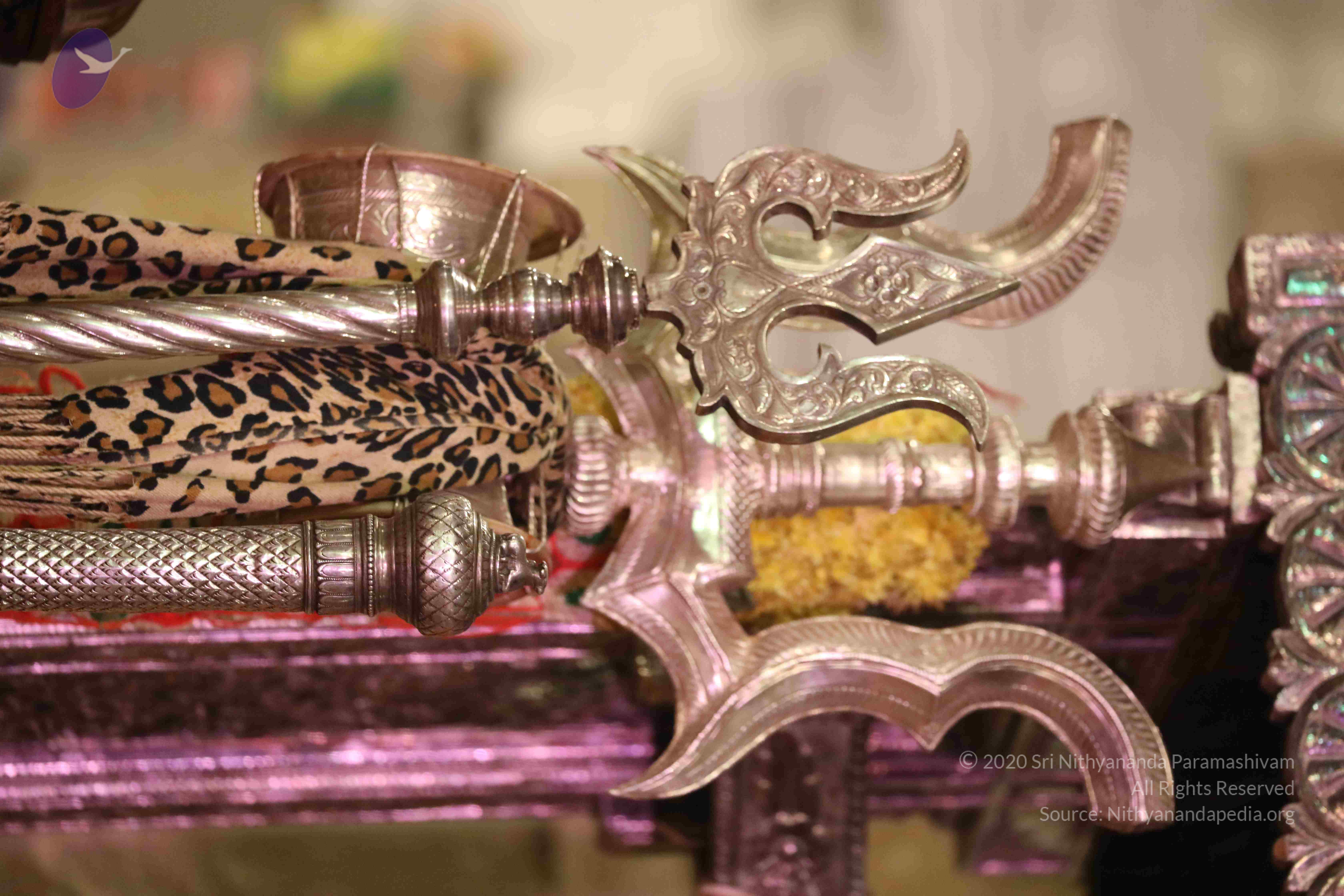 20180525_Photo_1017_1a8IucN9FpVcgdIMSFGIxkDiIl7K3BGoM