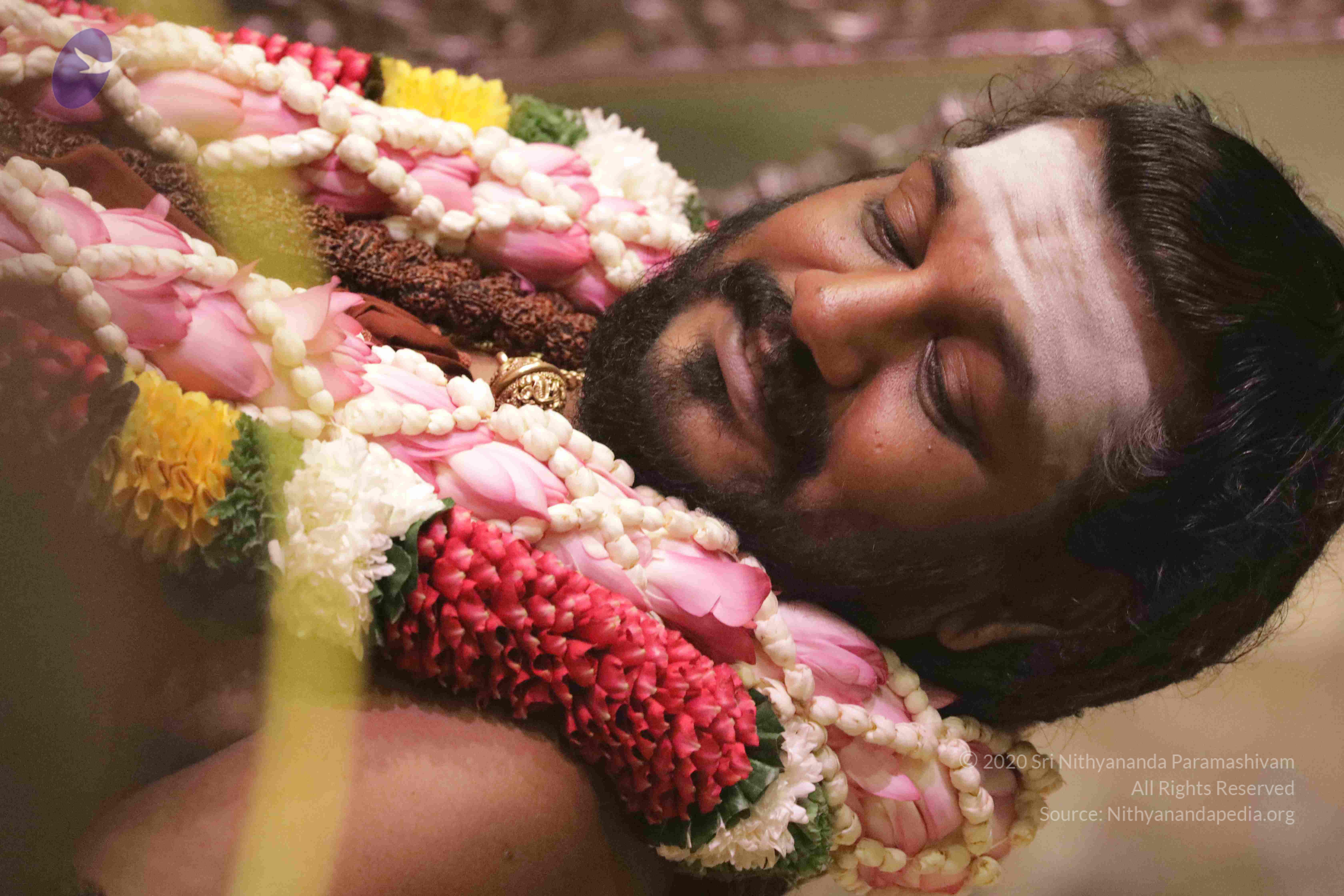 20180525_Photo_1057_1f8SgfAbHpy9rBNkTwIyrtv3Cf65KS0rI