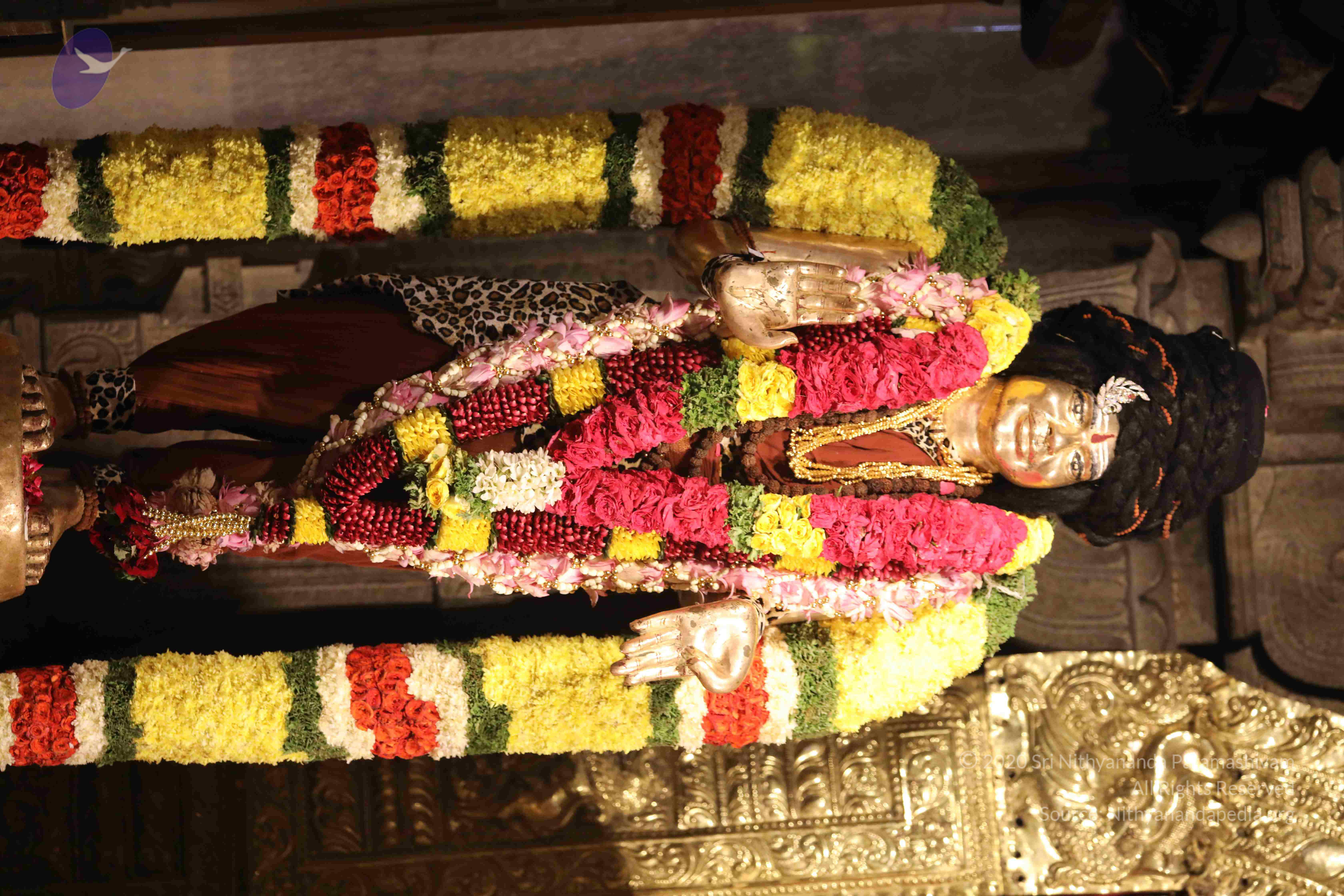 20180525_Photo_1059_1-aCzCRRt6y4Cv2noY3yGAHUF39Z5w2ob