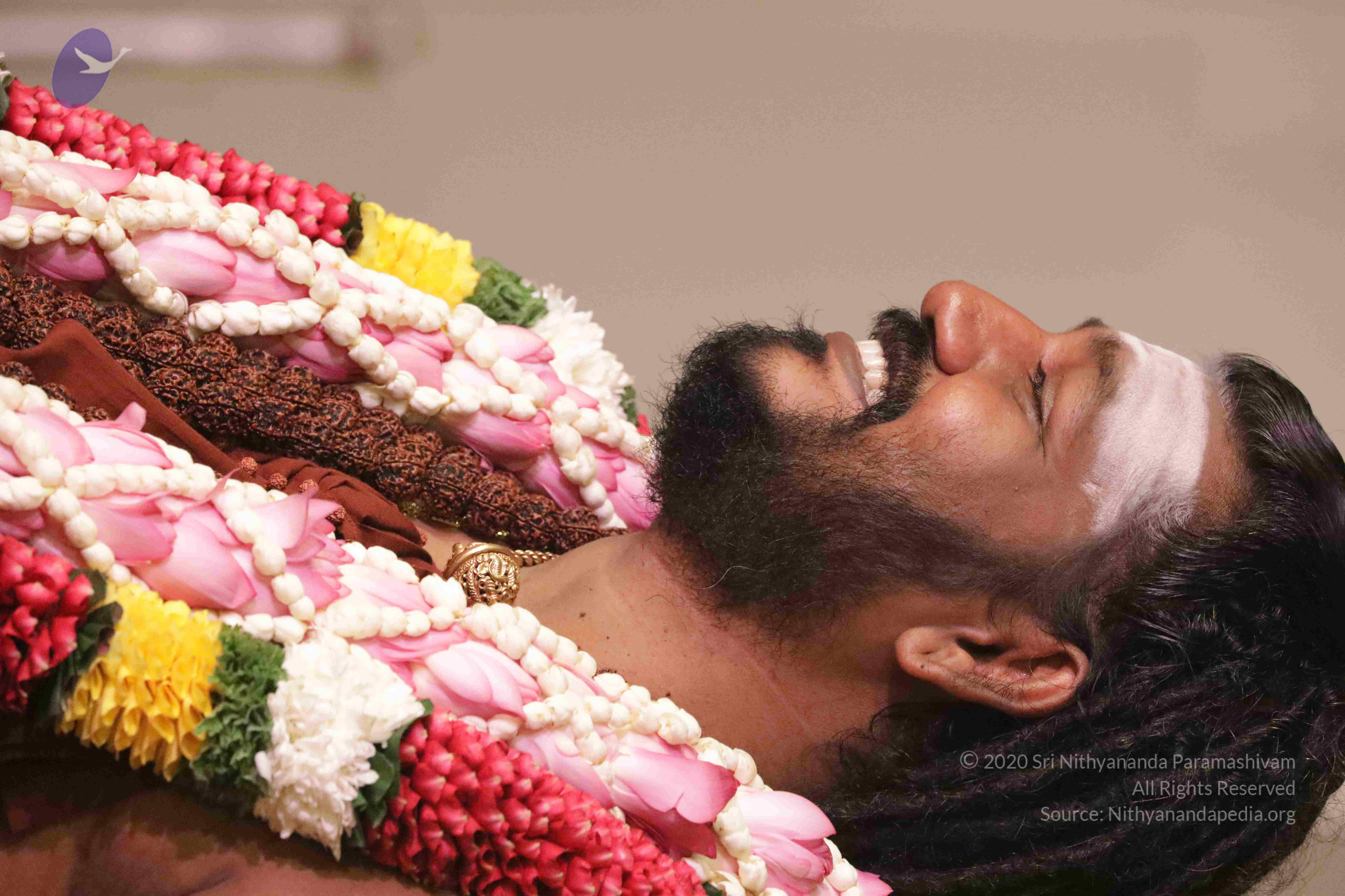 20180525_Photo_1077_1aZHluudK3DomowDdhVrGrpHuZhLyz7aM