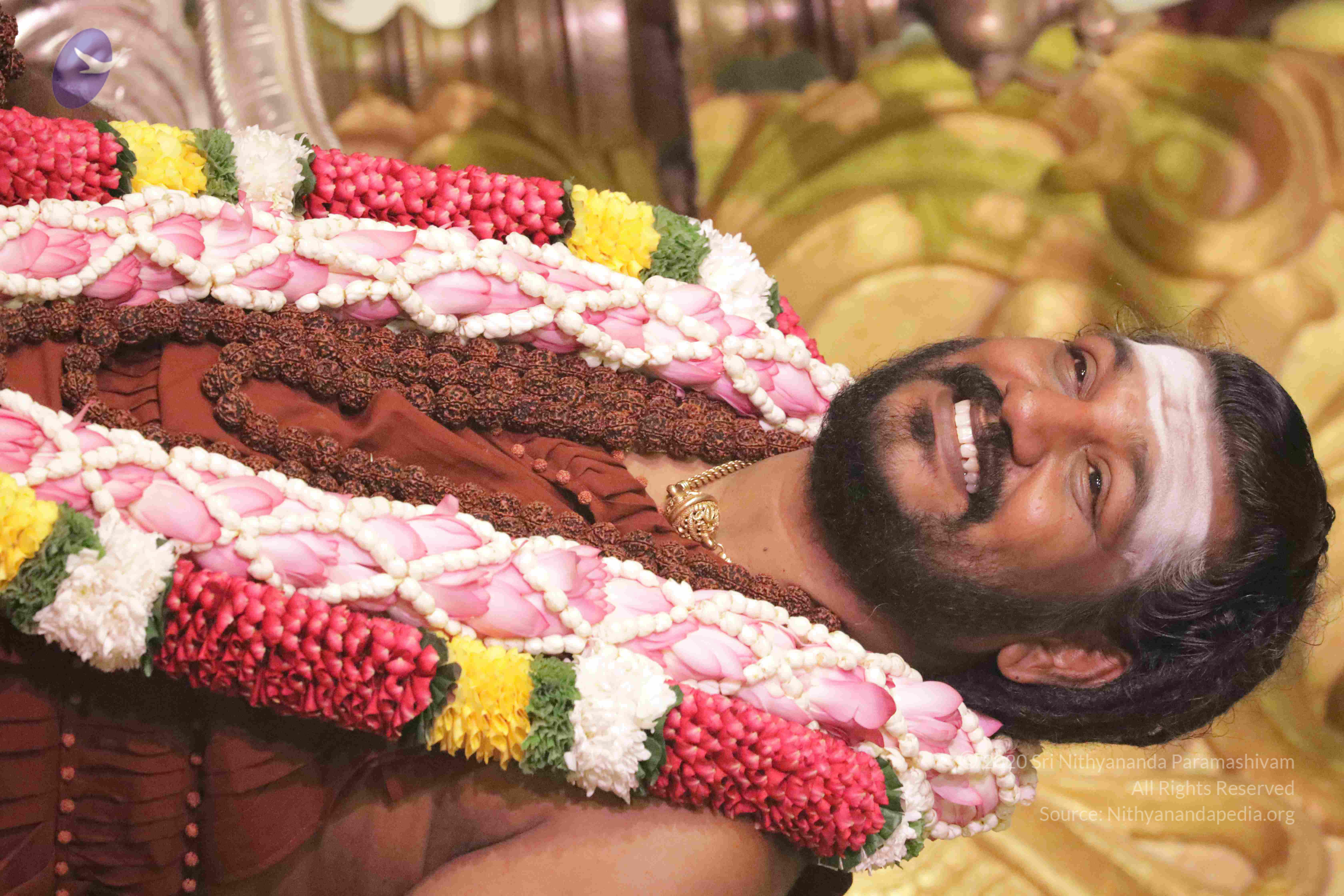 20180525_Photo_1108_1W_5l_mGgx-UW1Bb0d71S_KUMoh8ZLTBy