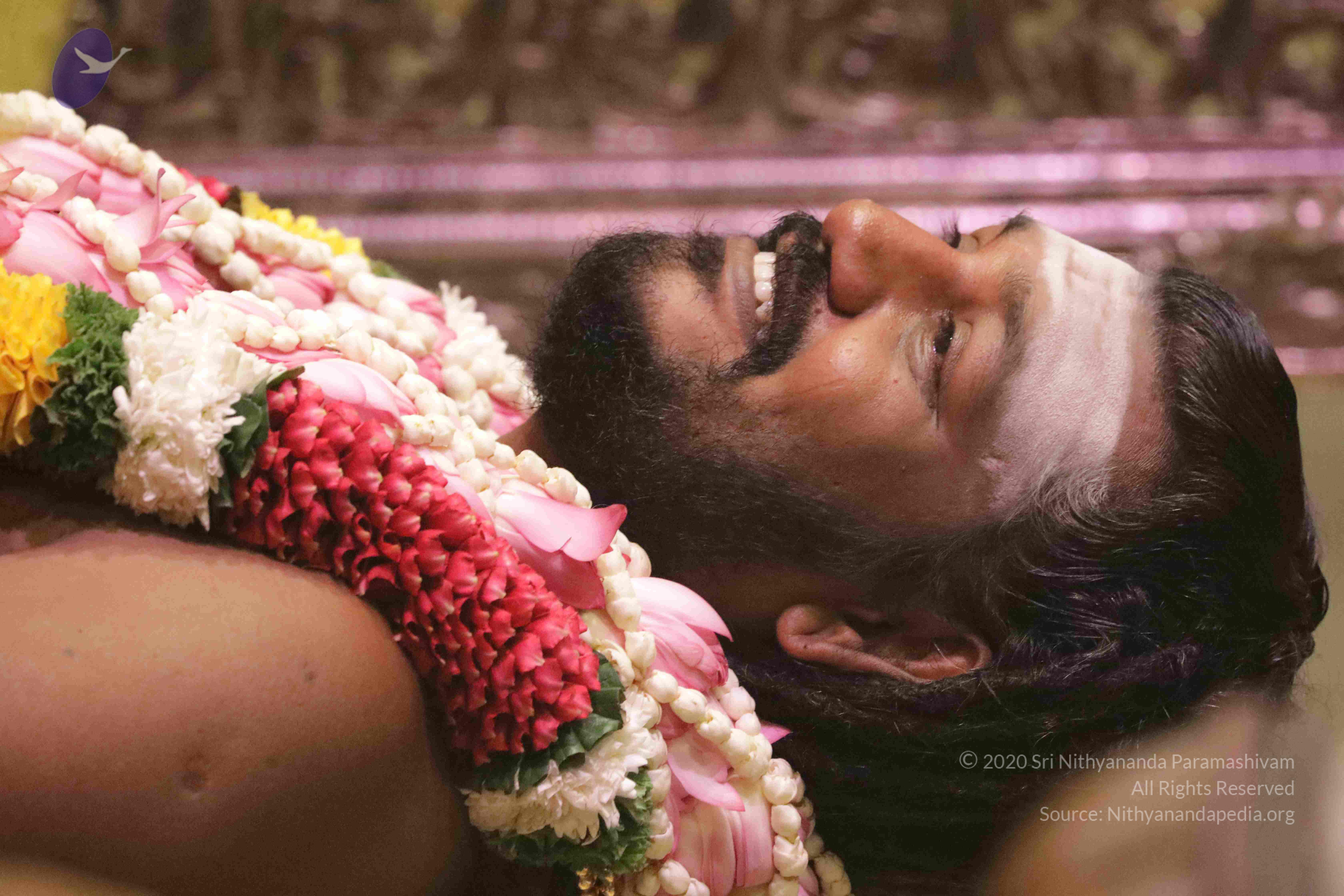 20180525_Photo_1129_1NUZ_QWvHROIF1OJFKEe0-9rqJioSh71Q