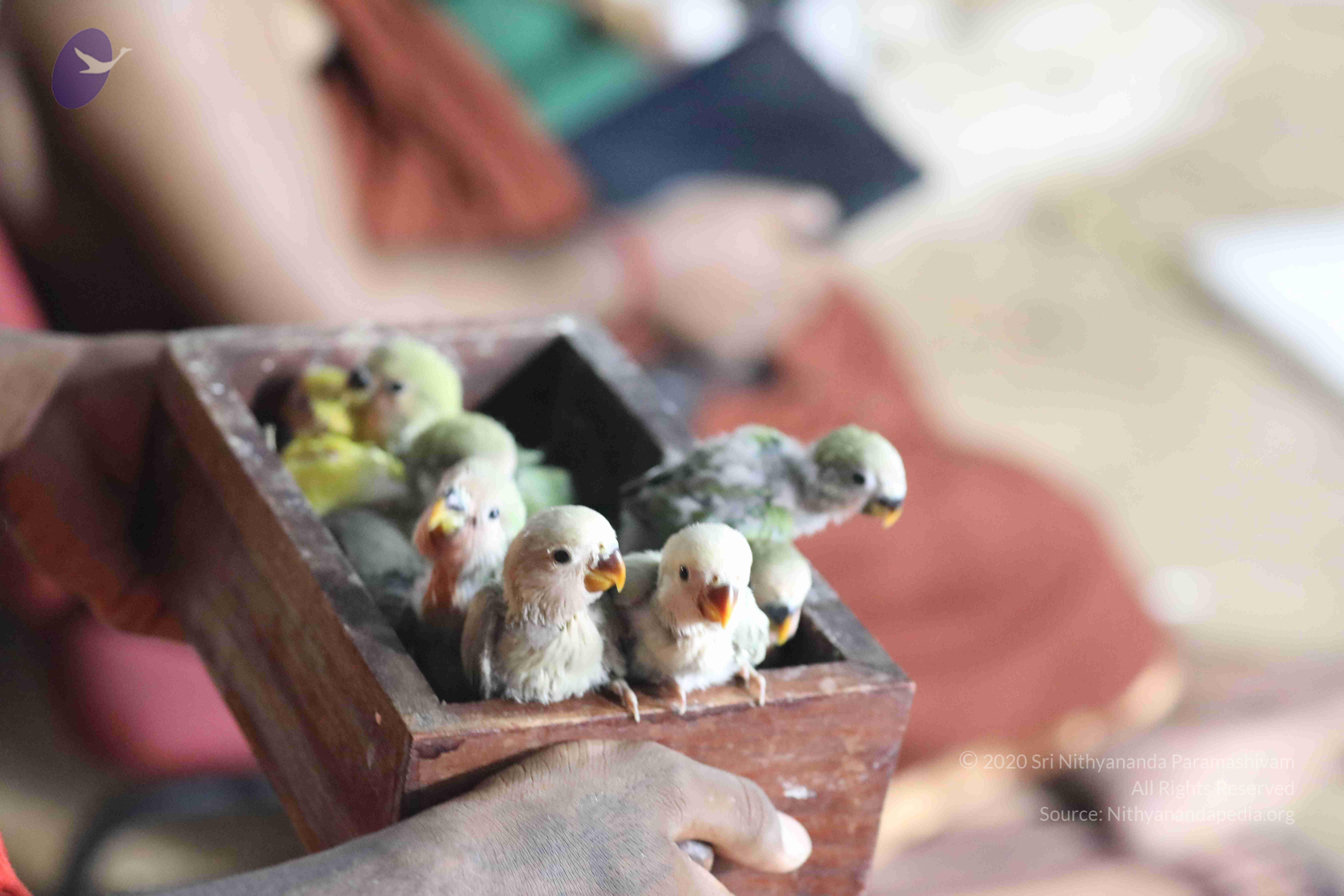 20180505_Photo_1050_1FAK63w45mV5ECvQ9PaFW4SpGsOV7hYVg