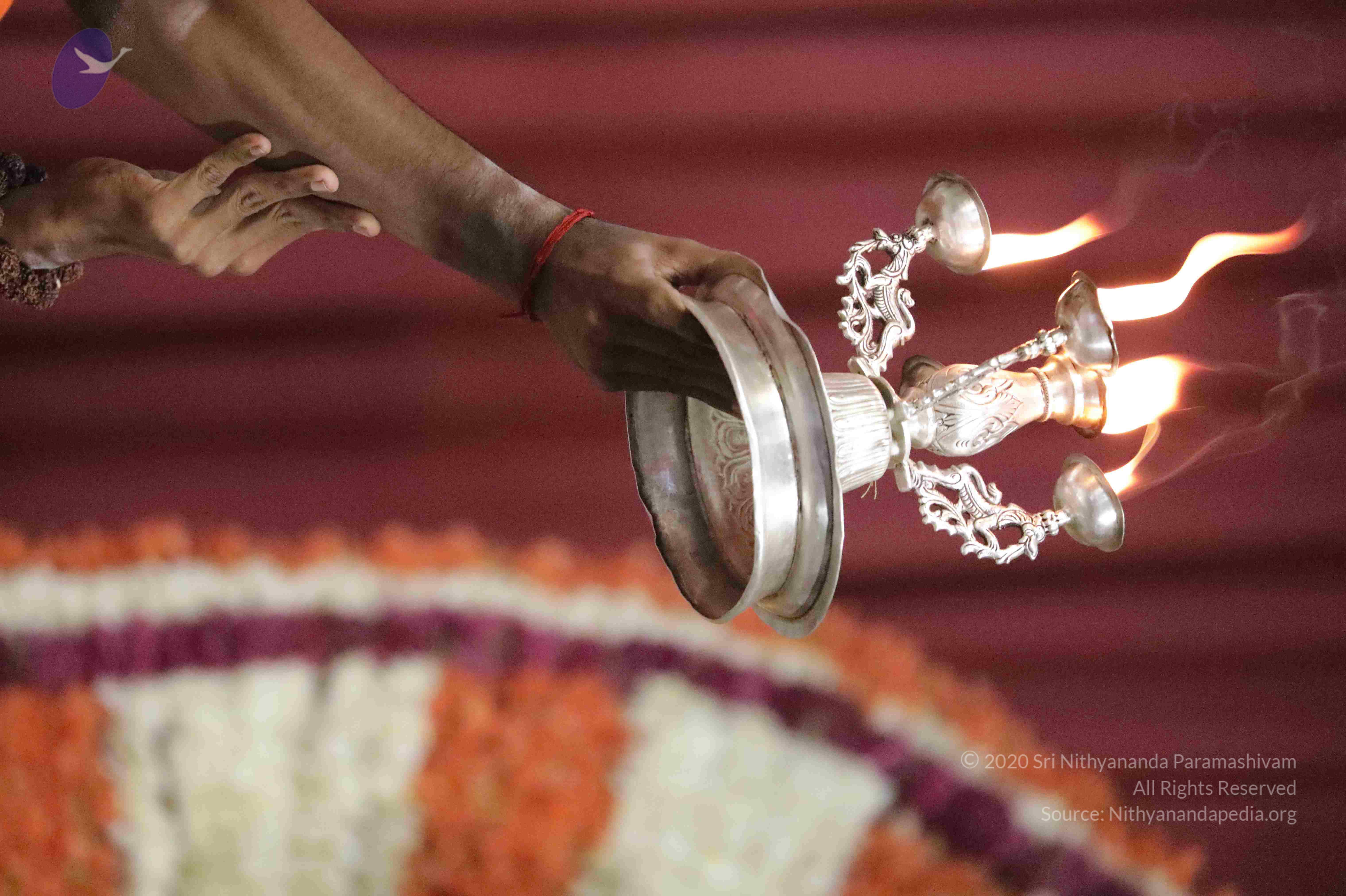 20180505_Photo_1021_1YMzdB9kAvmezrCM7Tzhn9Pm3-EA0LxKw