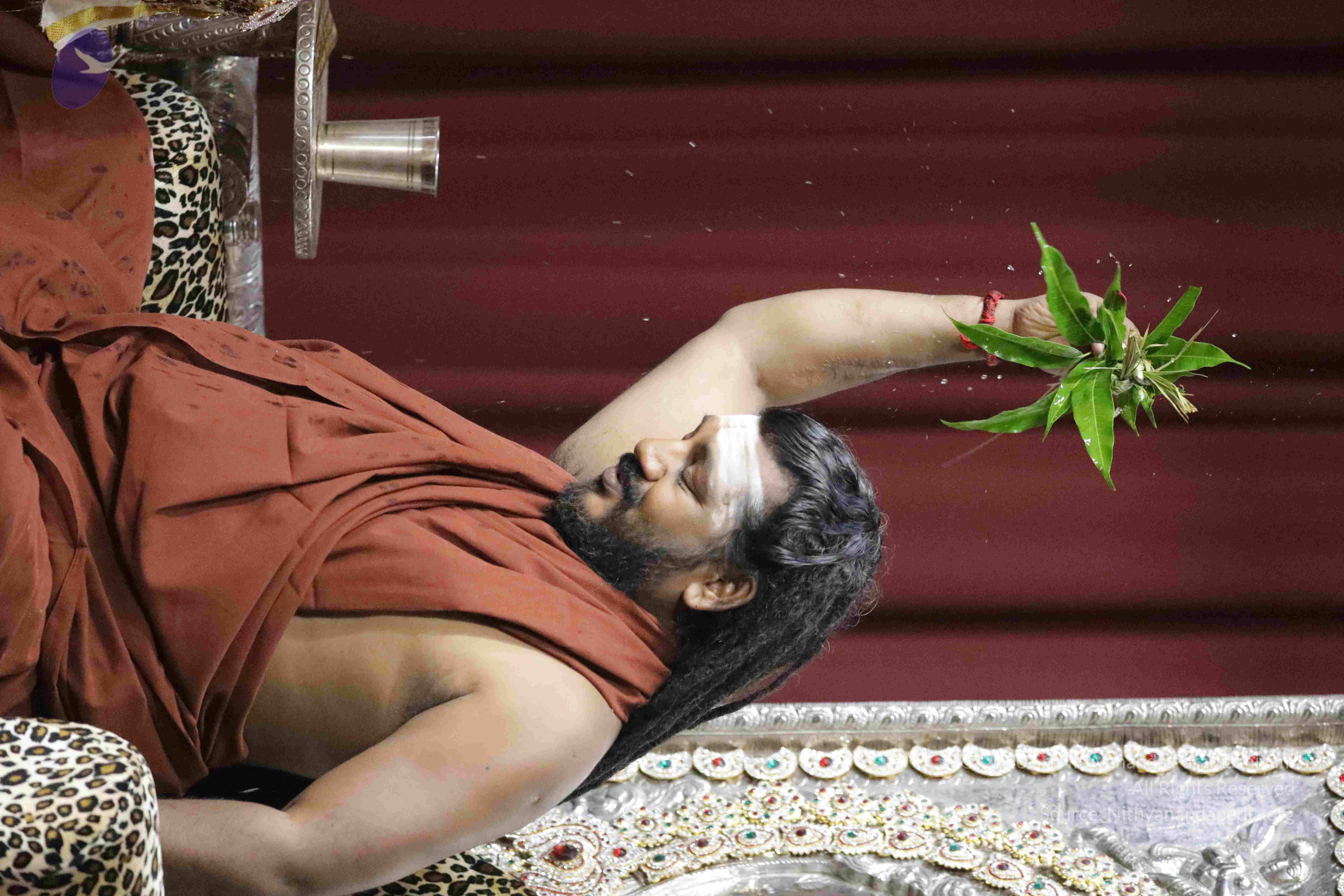 20180505_Photo_1009_1f__QU9BcGhUJb-Bg85fe9R42NTRAPHby