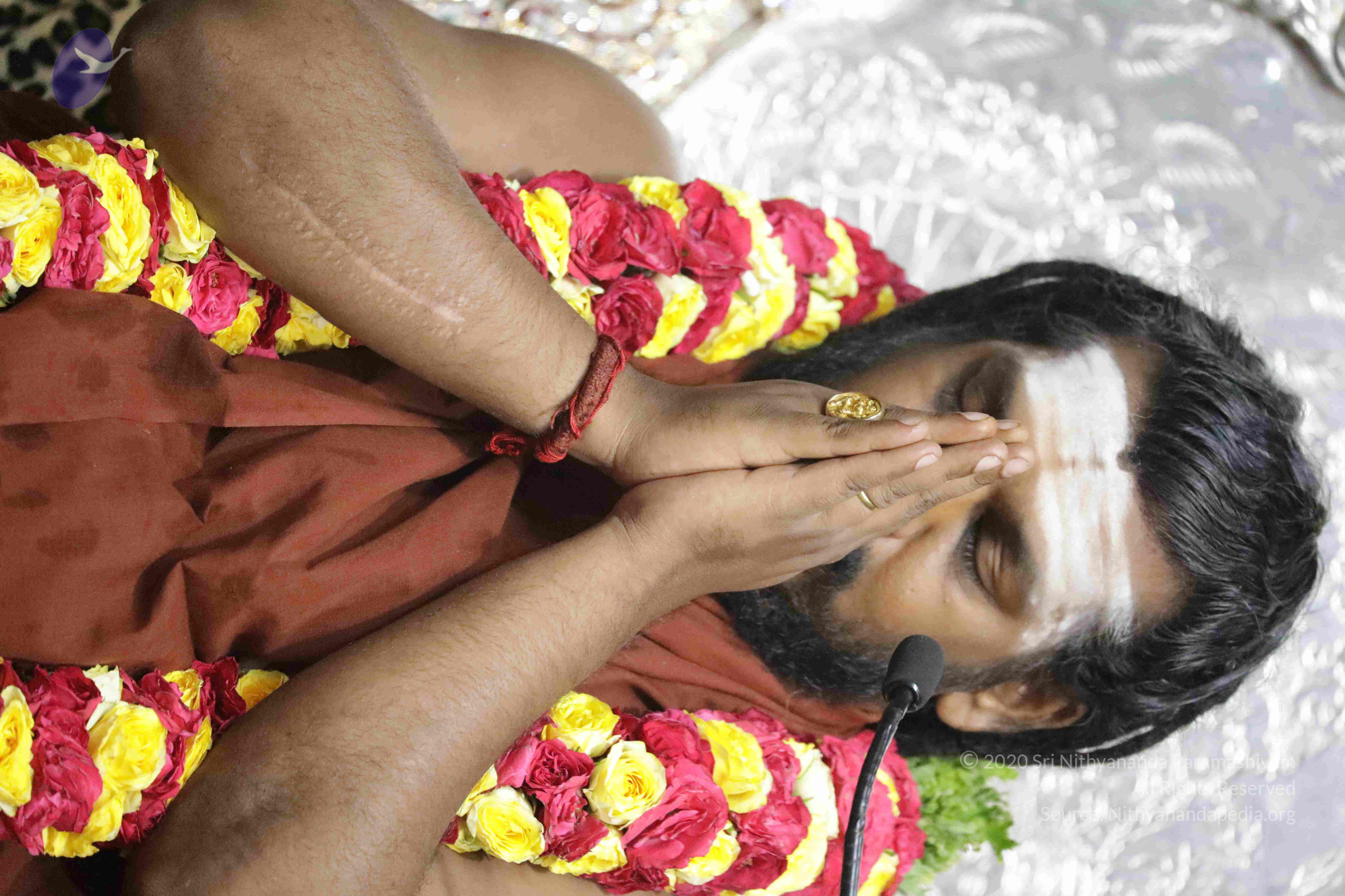 20180505_Photo_1013_1yxE0TQuAuA0-zmKprRp7GkQ2RaGMjc1M