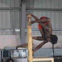 20180505_Photo_1005_17BUFOHGa34GZt3TvQ_x5zCbew7Xg2BQ2