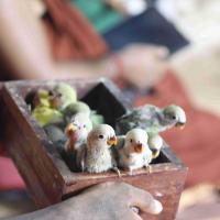 20180505_Photo_1050_1FAK63w45mV5ECvQ9PaFW4SpGsOV7hYVg